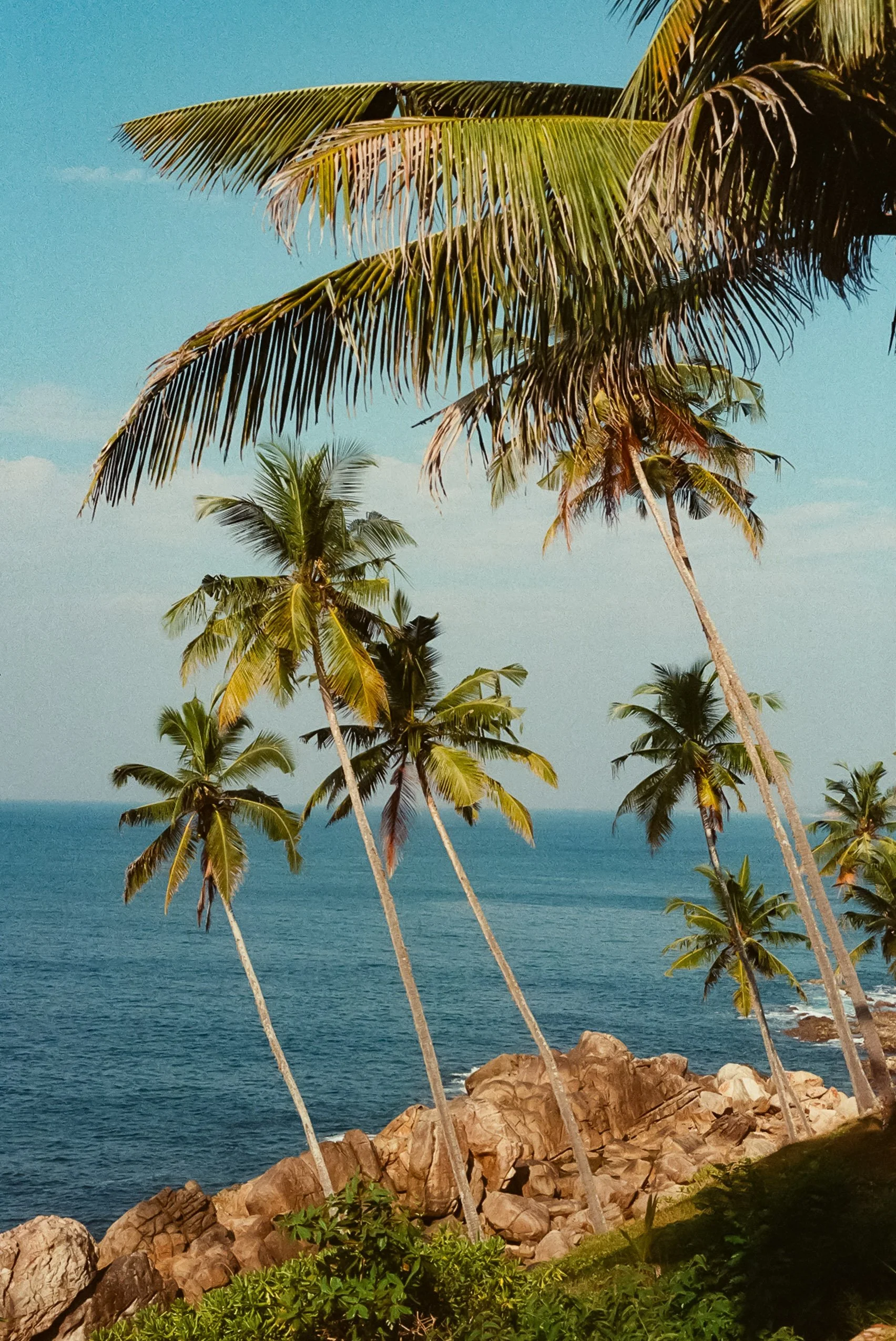 122156_030.jpg