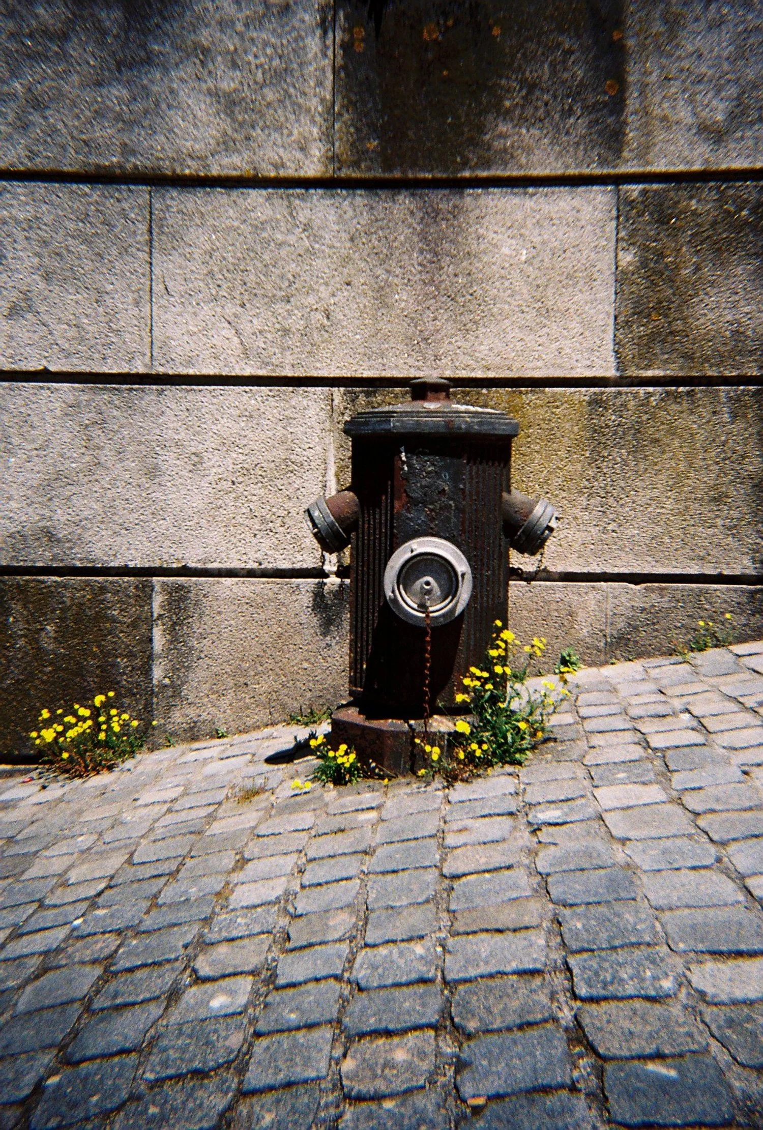  Streets of Porto 