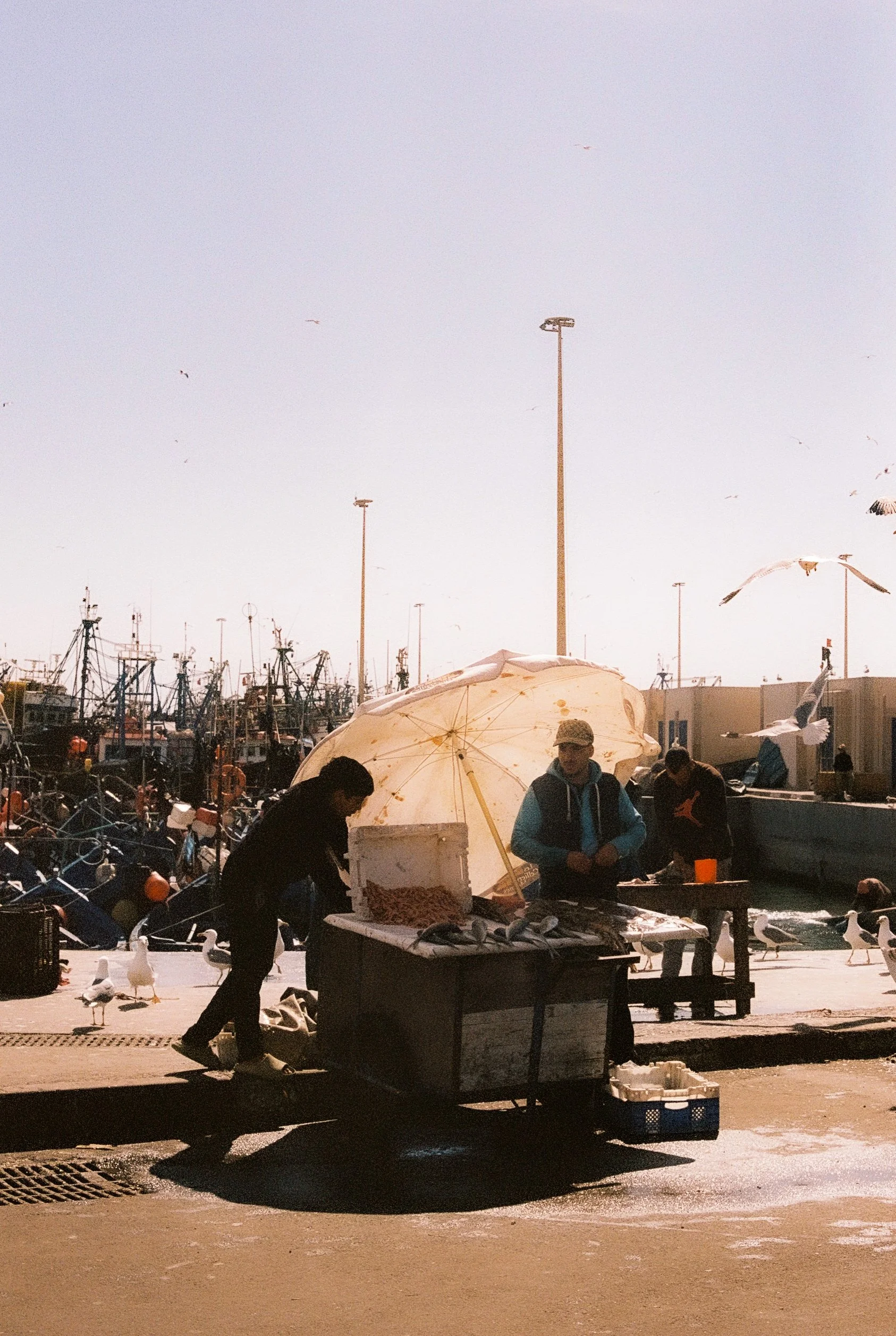 123096_155.jpg