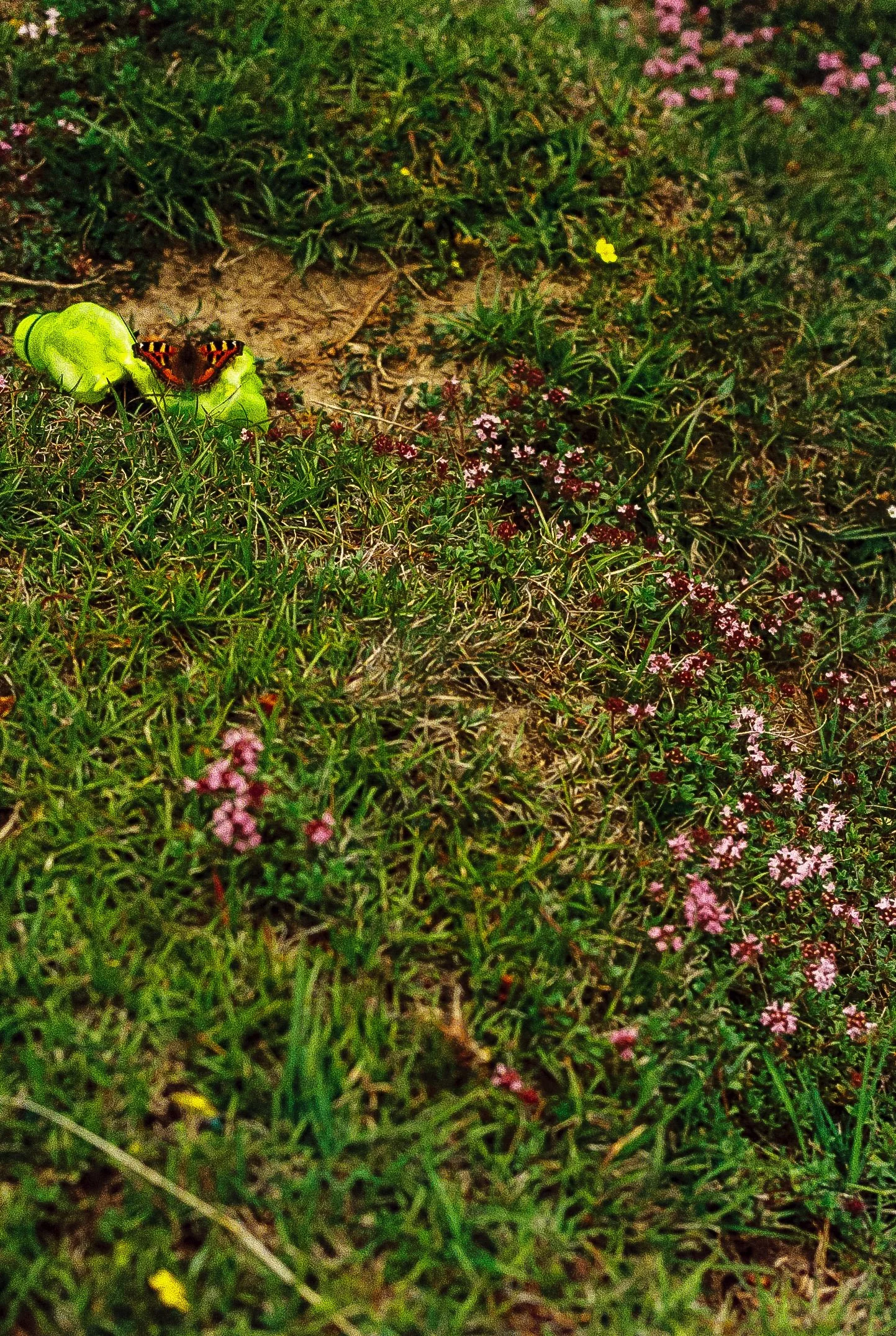 114331_057.jpg