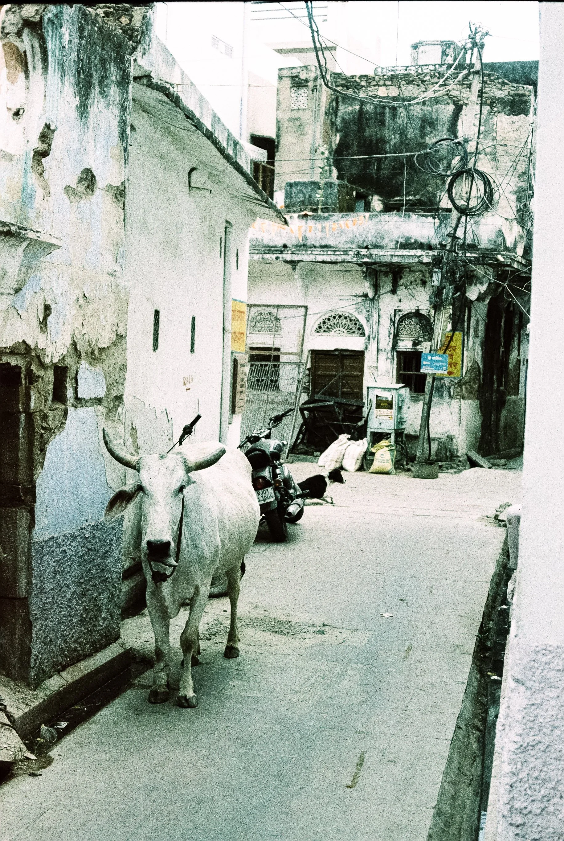 114331_028.jpg