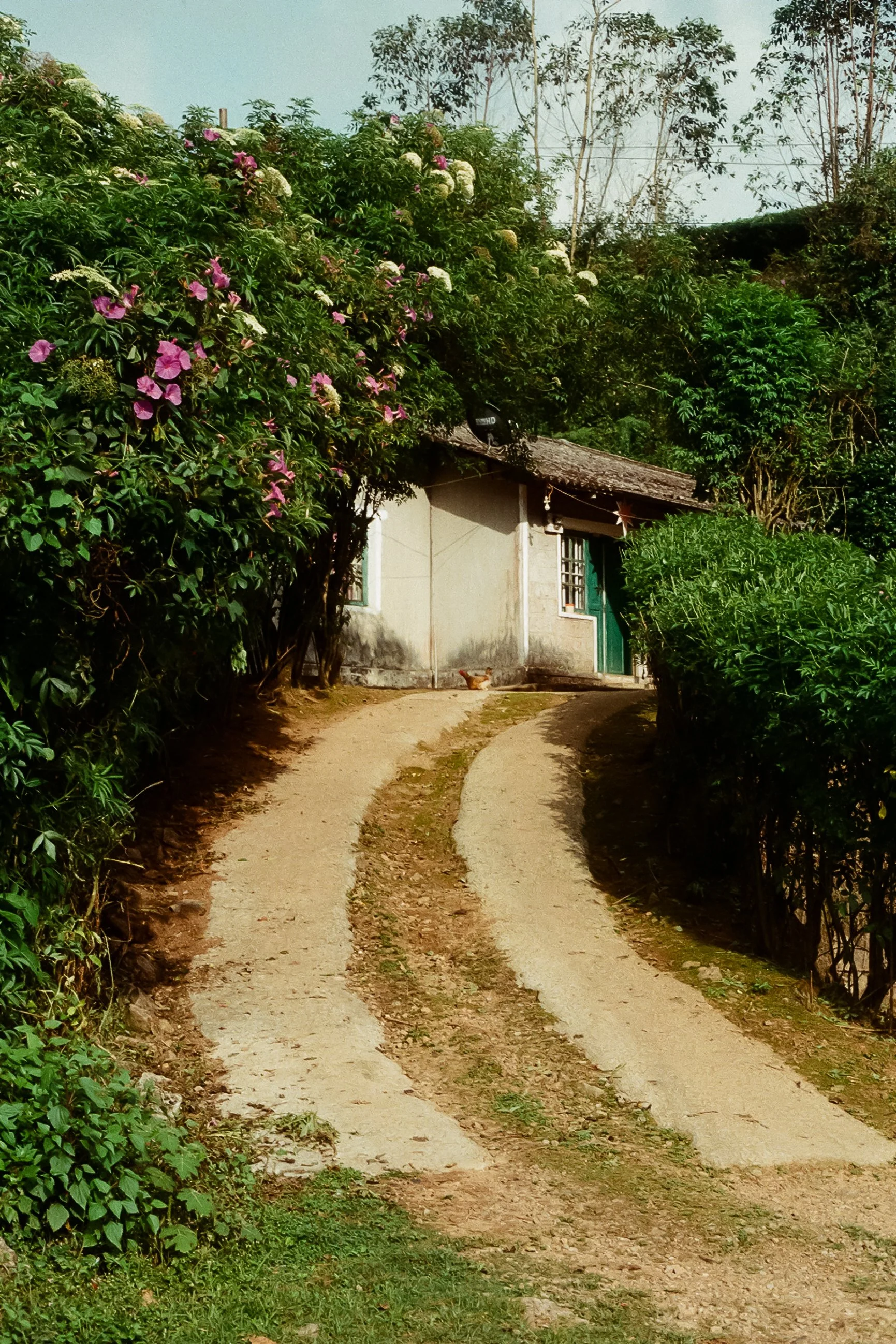 115458_099.jpg