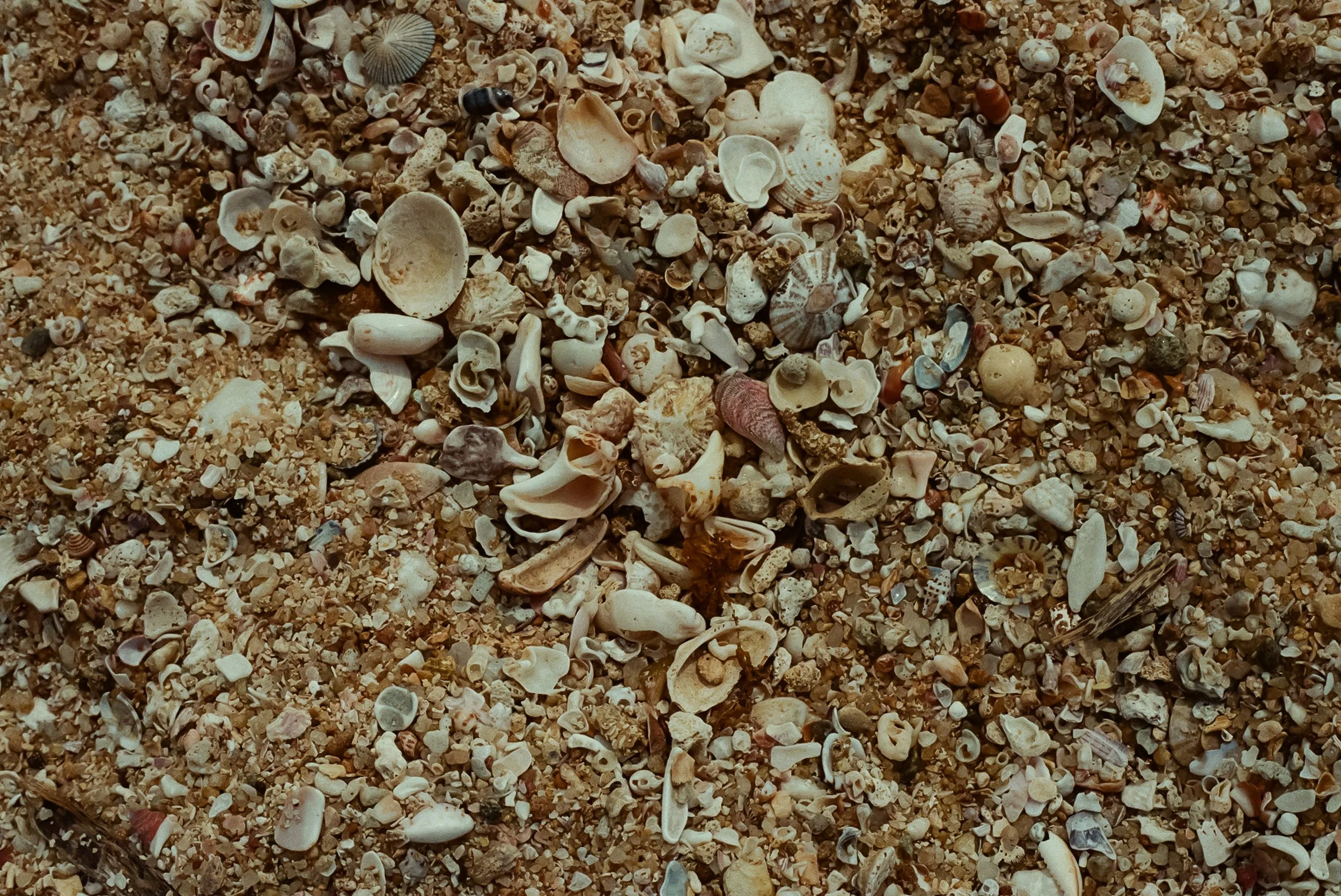 122156_042.jpg