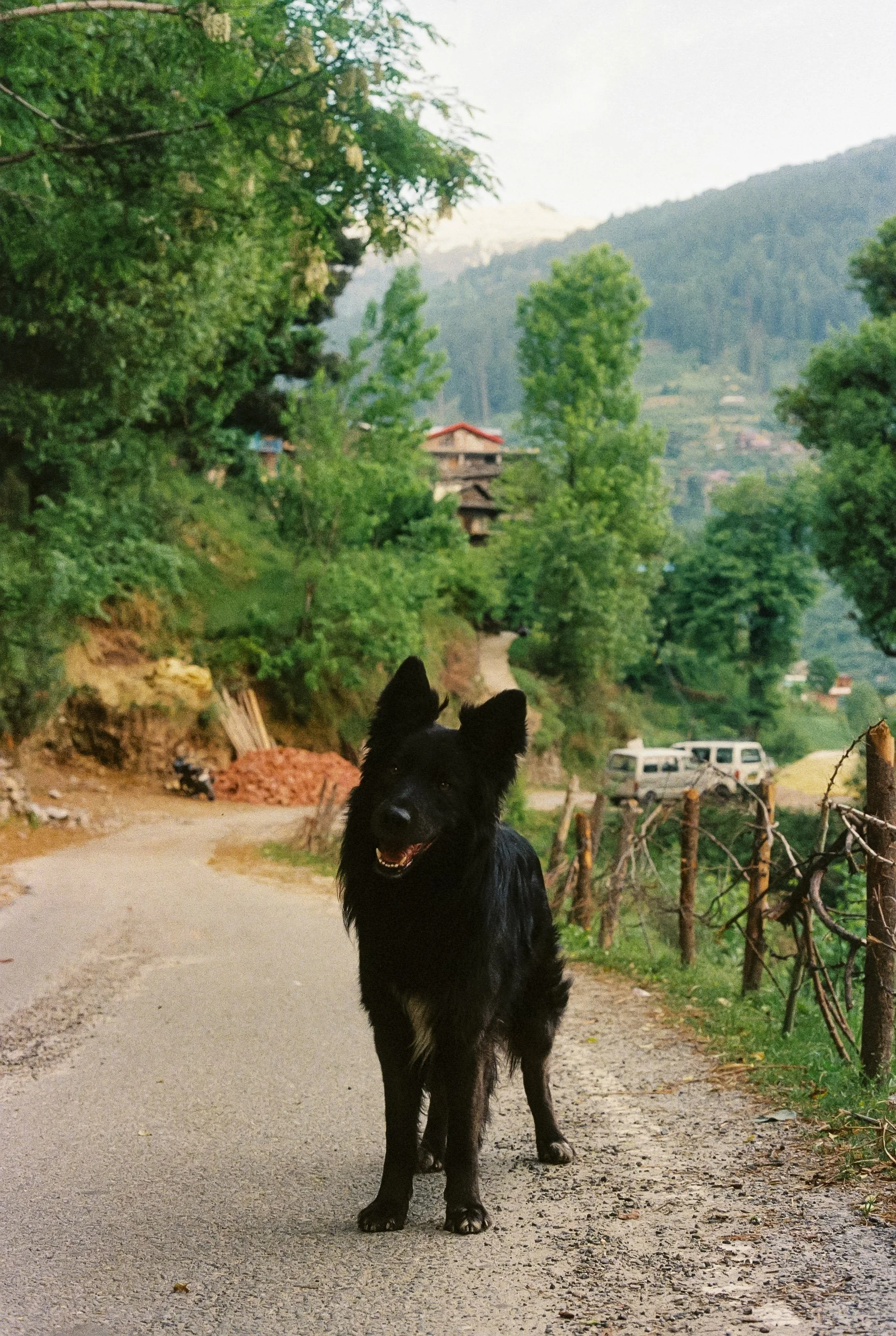 114331_048.jpg