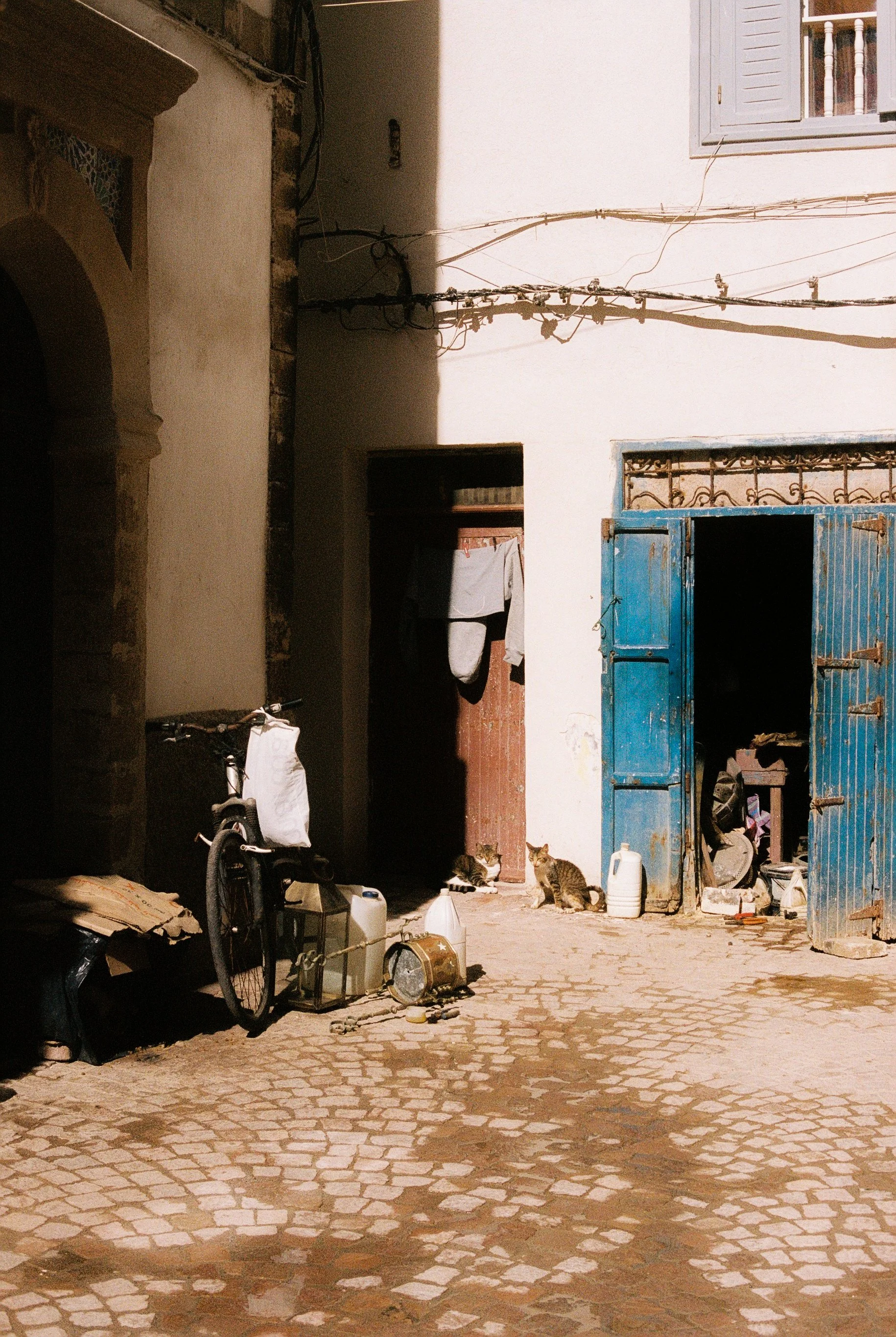 123096_116.jpg