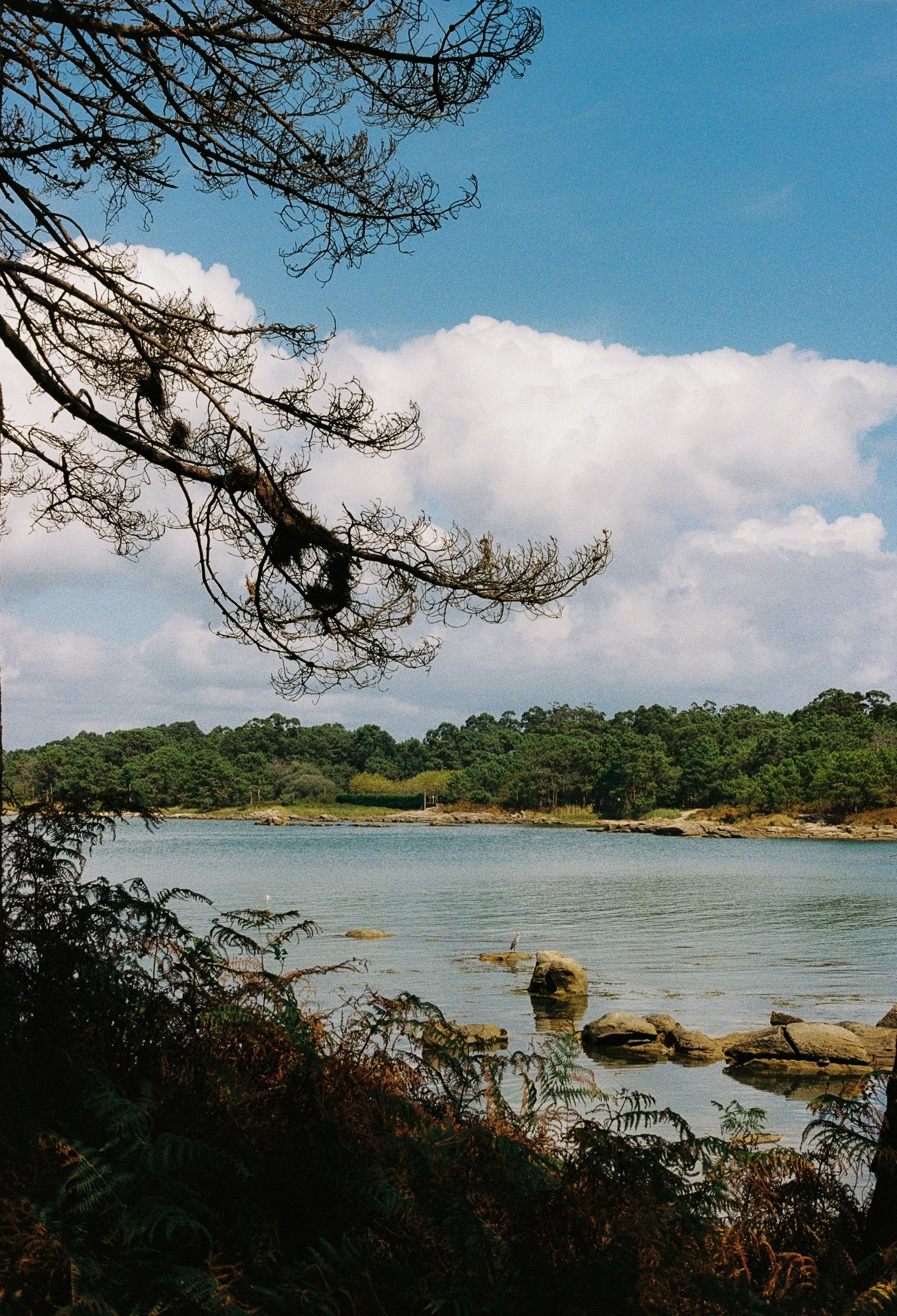 135995_035.jpg