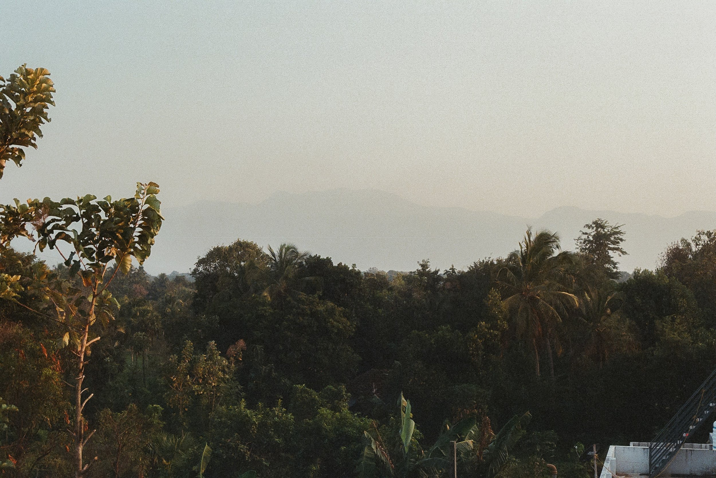 122156_112-2.jpg