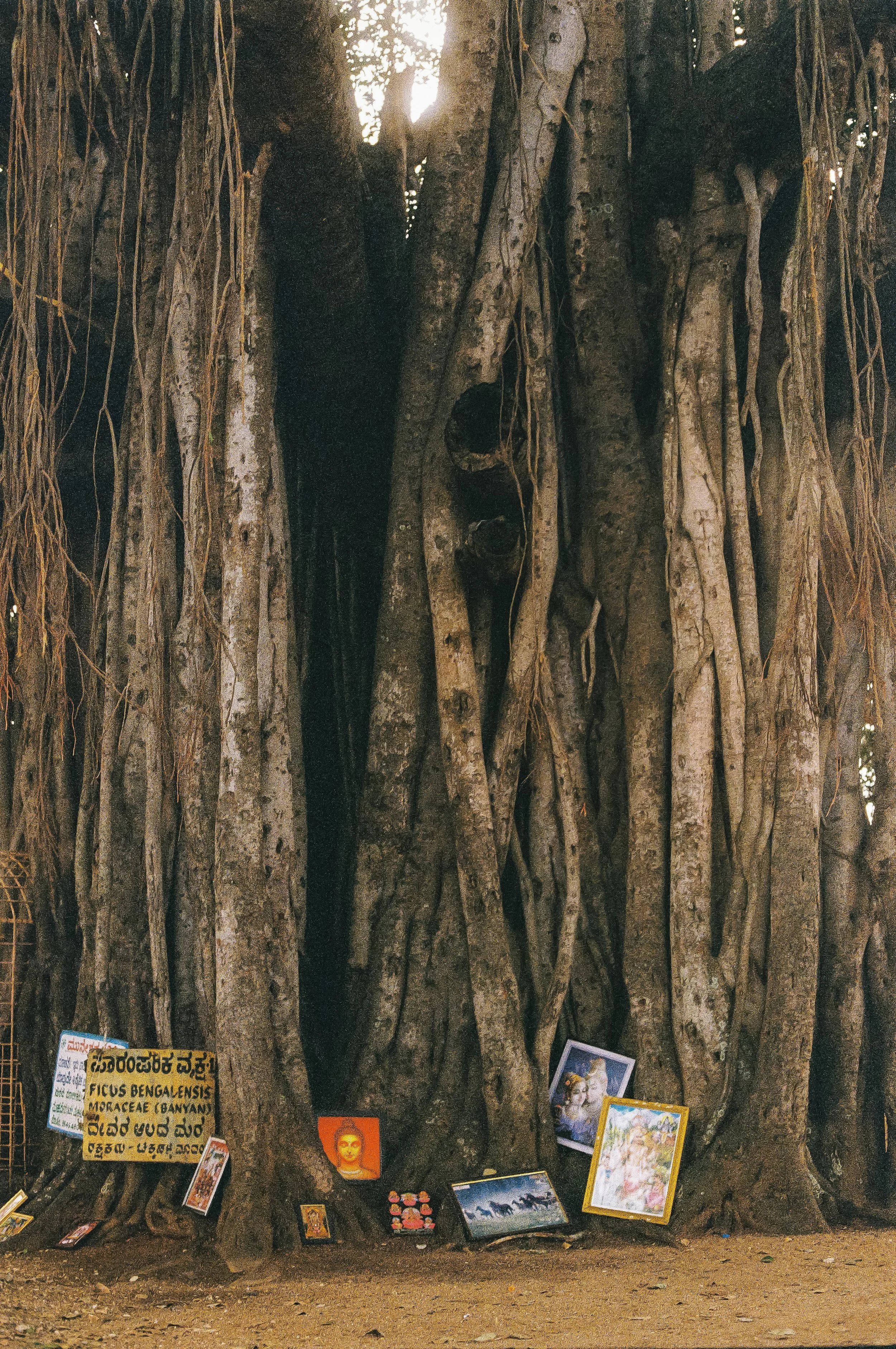 India_Test_0022-2.jpg