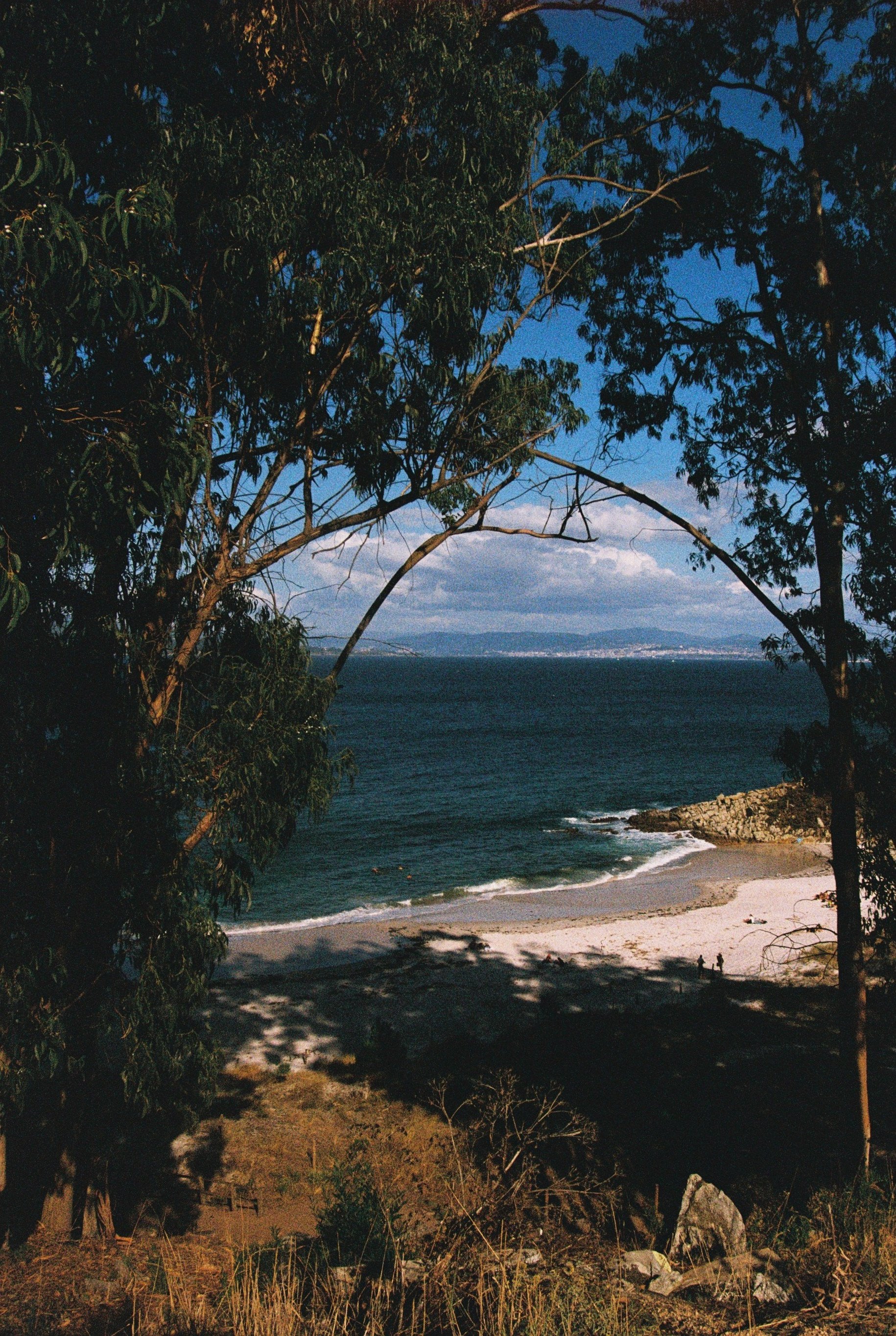 135995_112.JPG