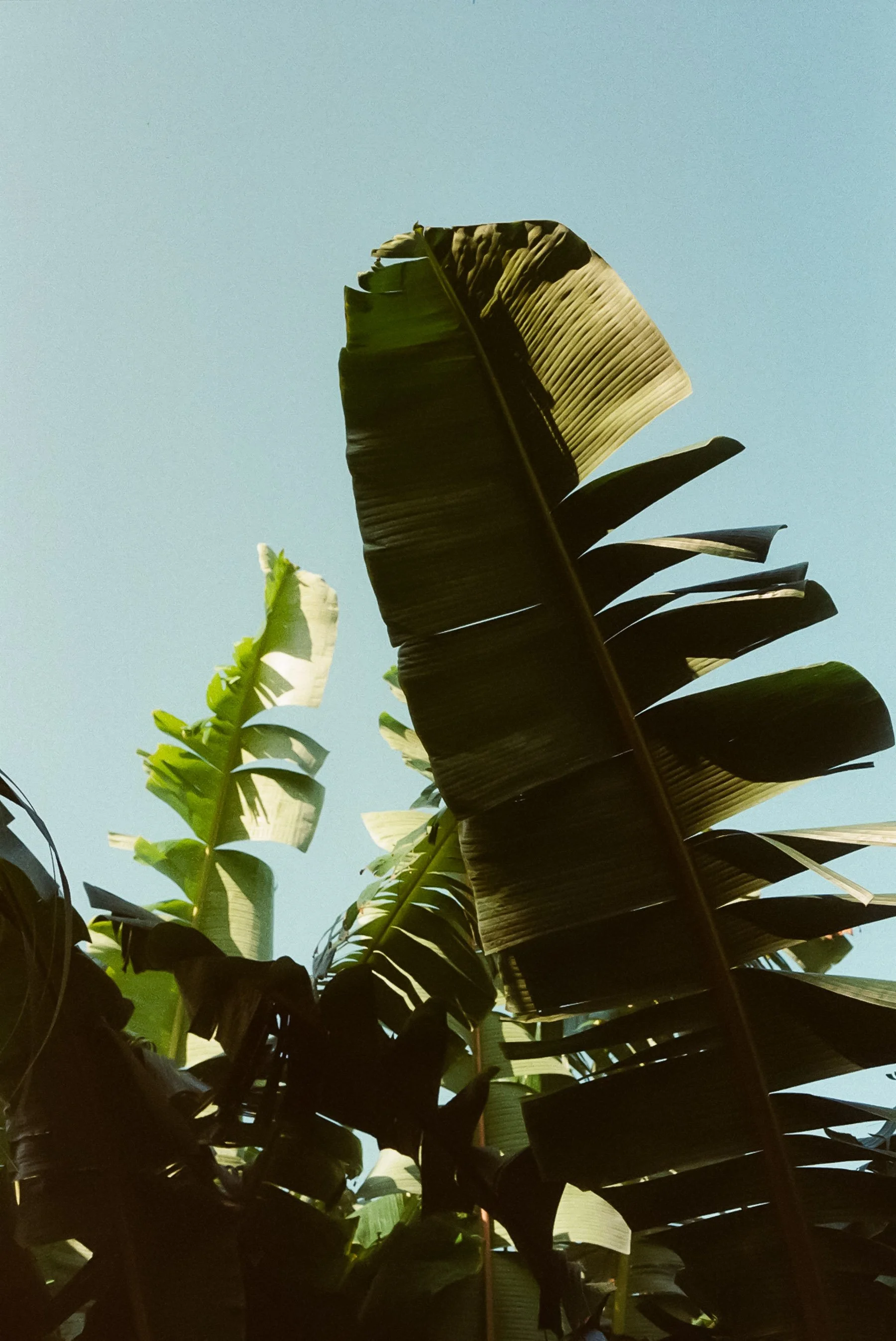 122156_031.jpg