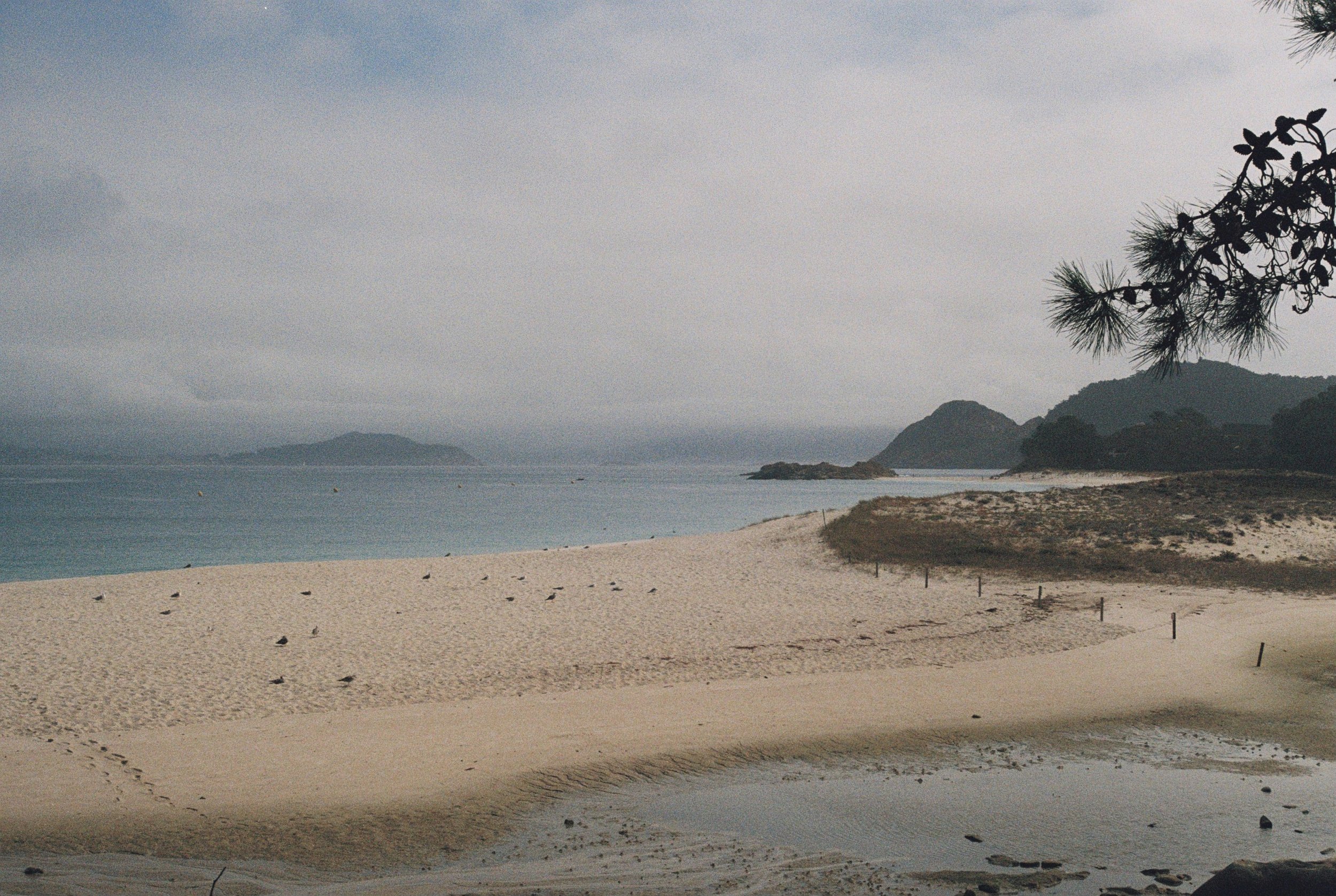 135995_059.JPG