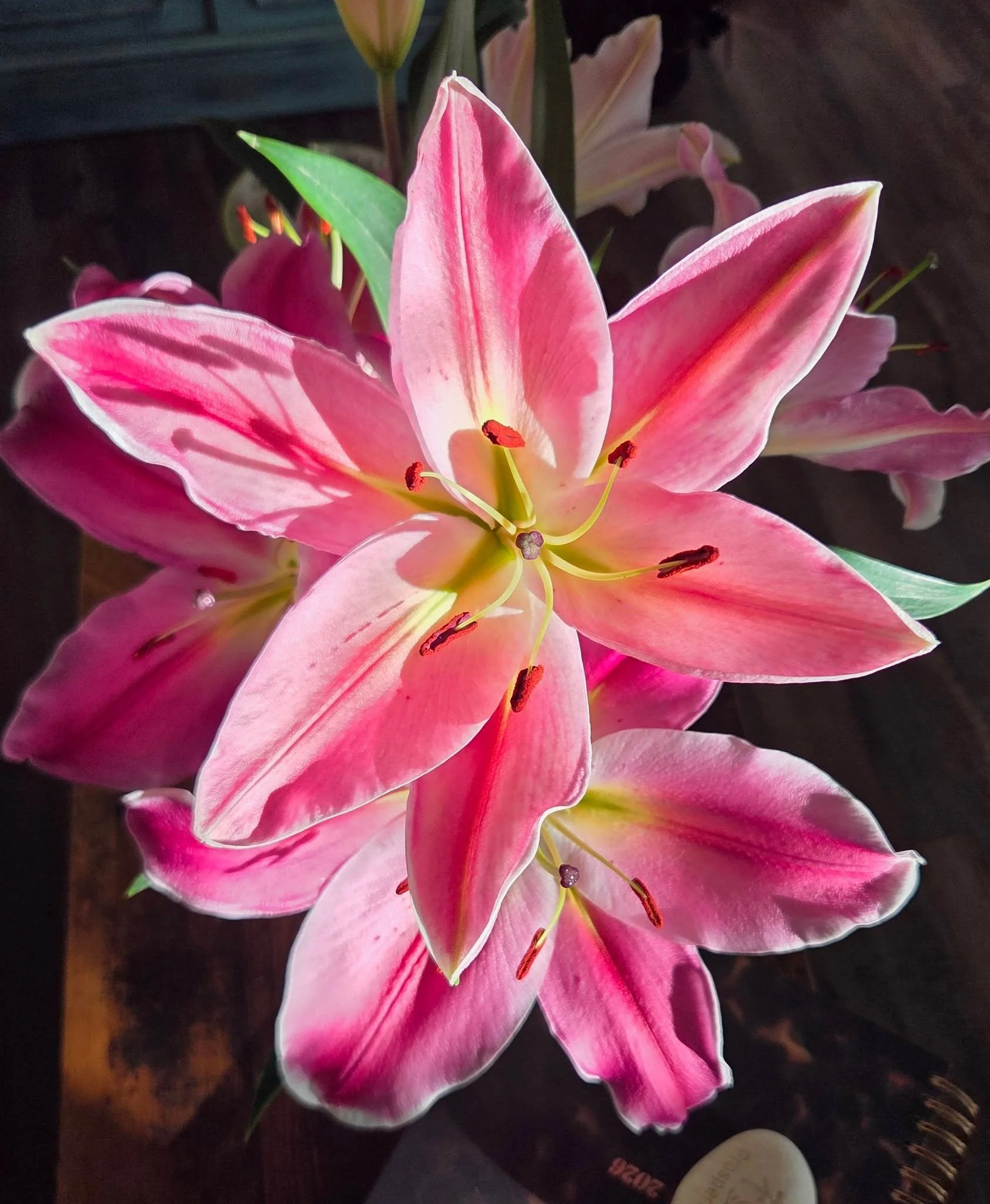 Brief Magical Moments... Turned around to see the sun beaming on these beautiful lillies... 
Wishing Everyone a Blessed Weekend...
Much Love... One Spirit...
