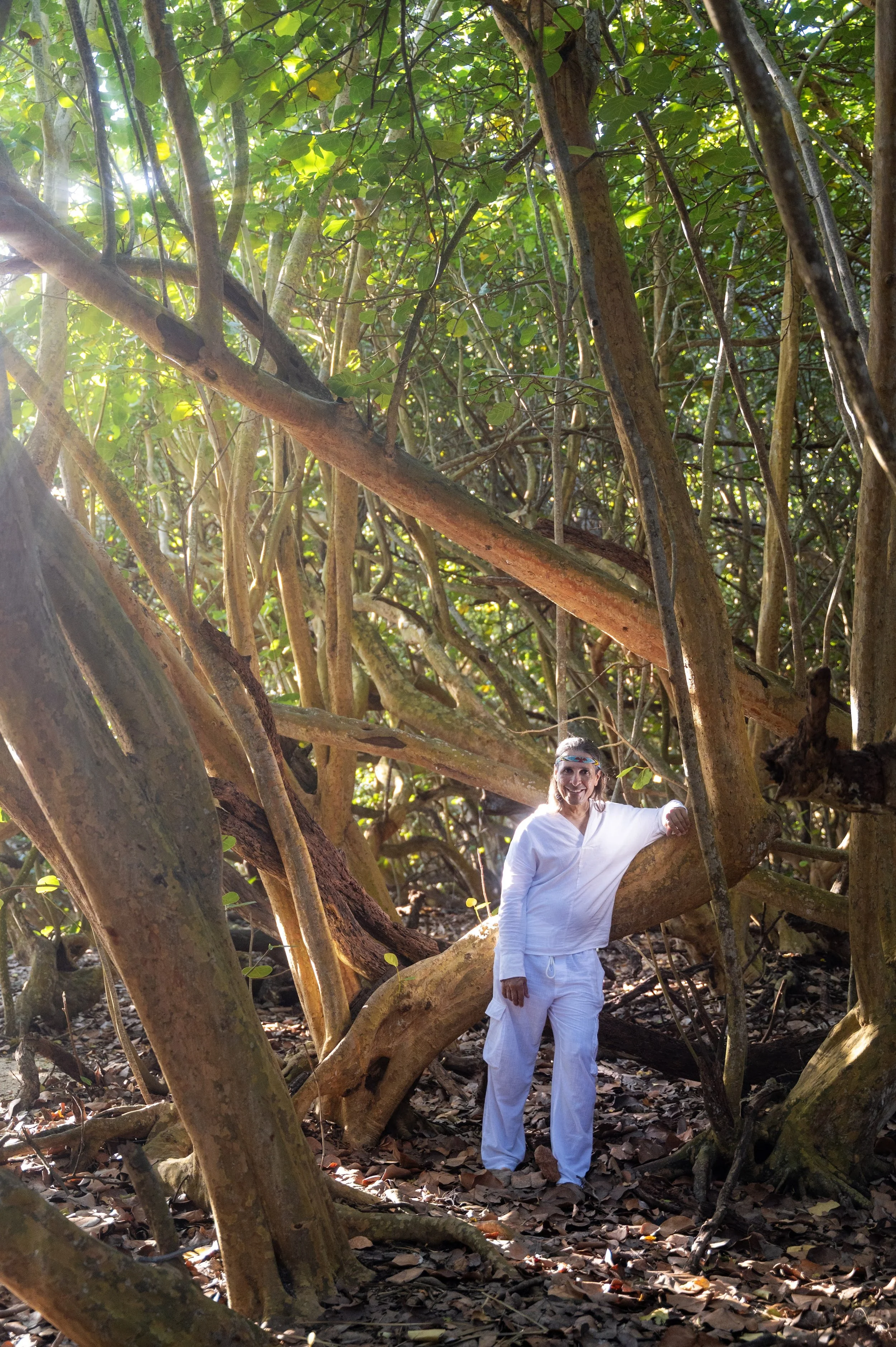 A woman in white clothing standing among large, intertwined tree branches and leaves in a forested area.