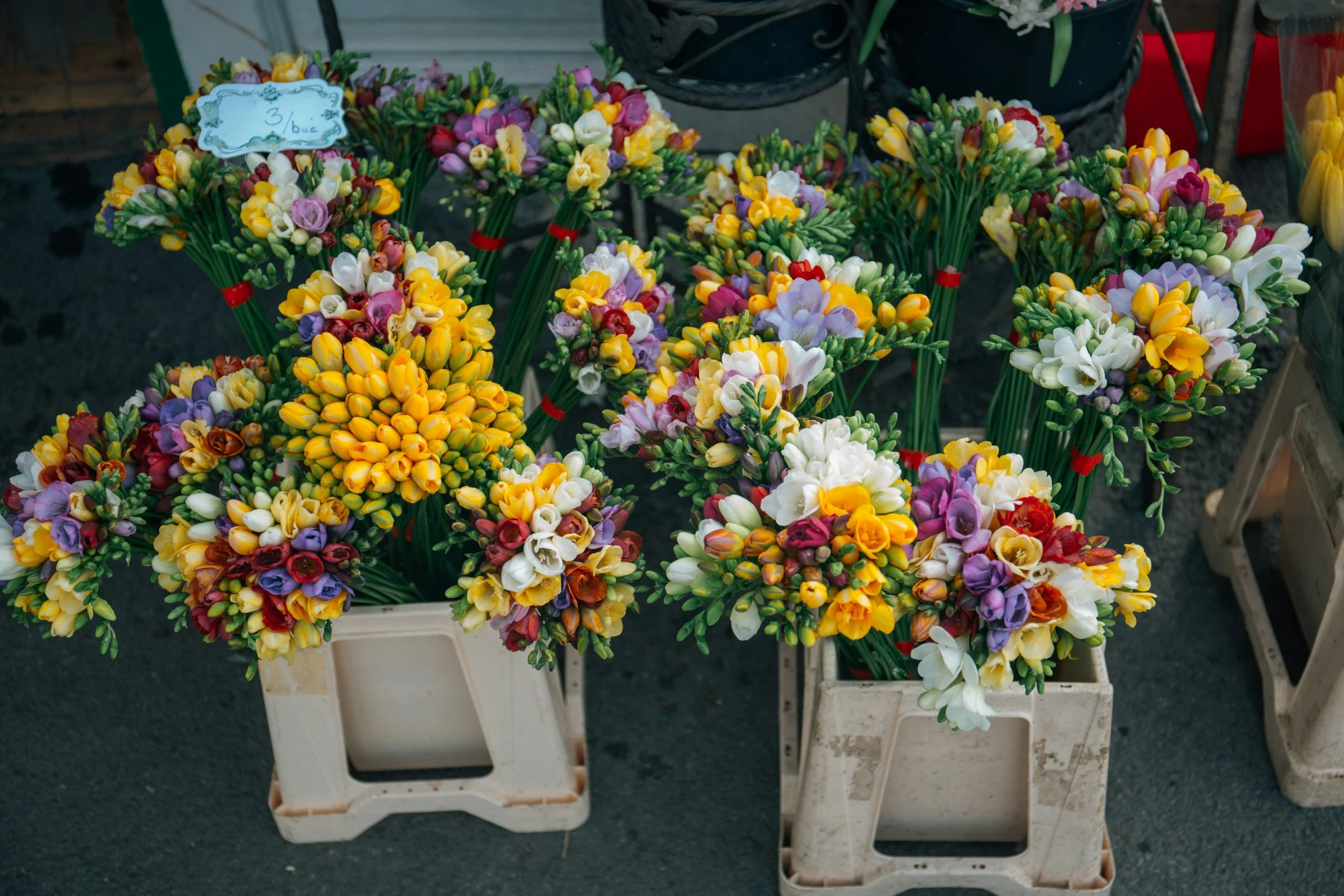 unsplash-image-TBaEUj5-J7Q.jpg