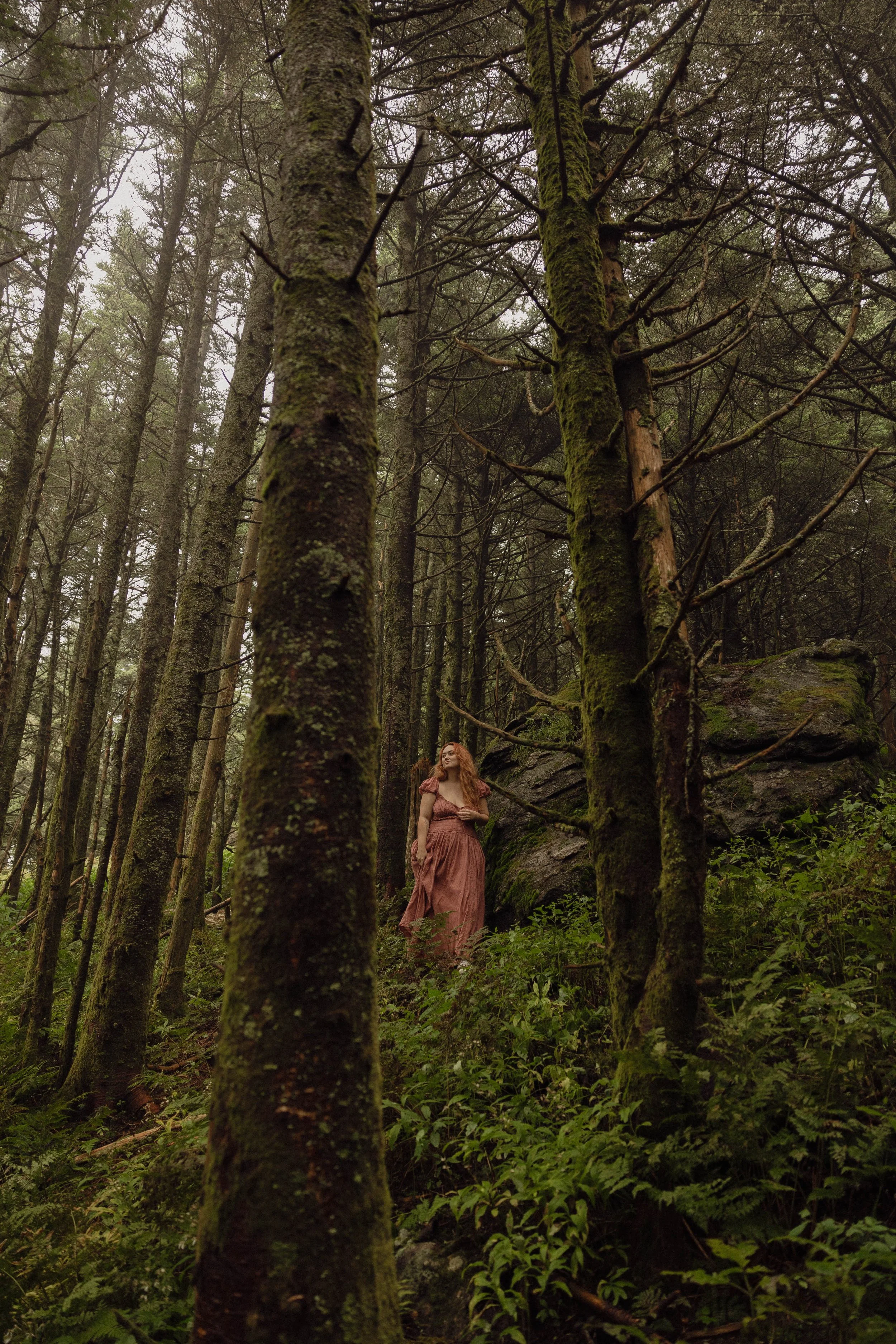 A woman in a long, flowing pink dress stands among tall, moss-covered trees in a dense forest with green foliage.