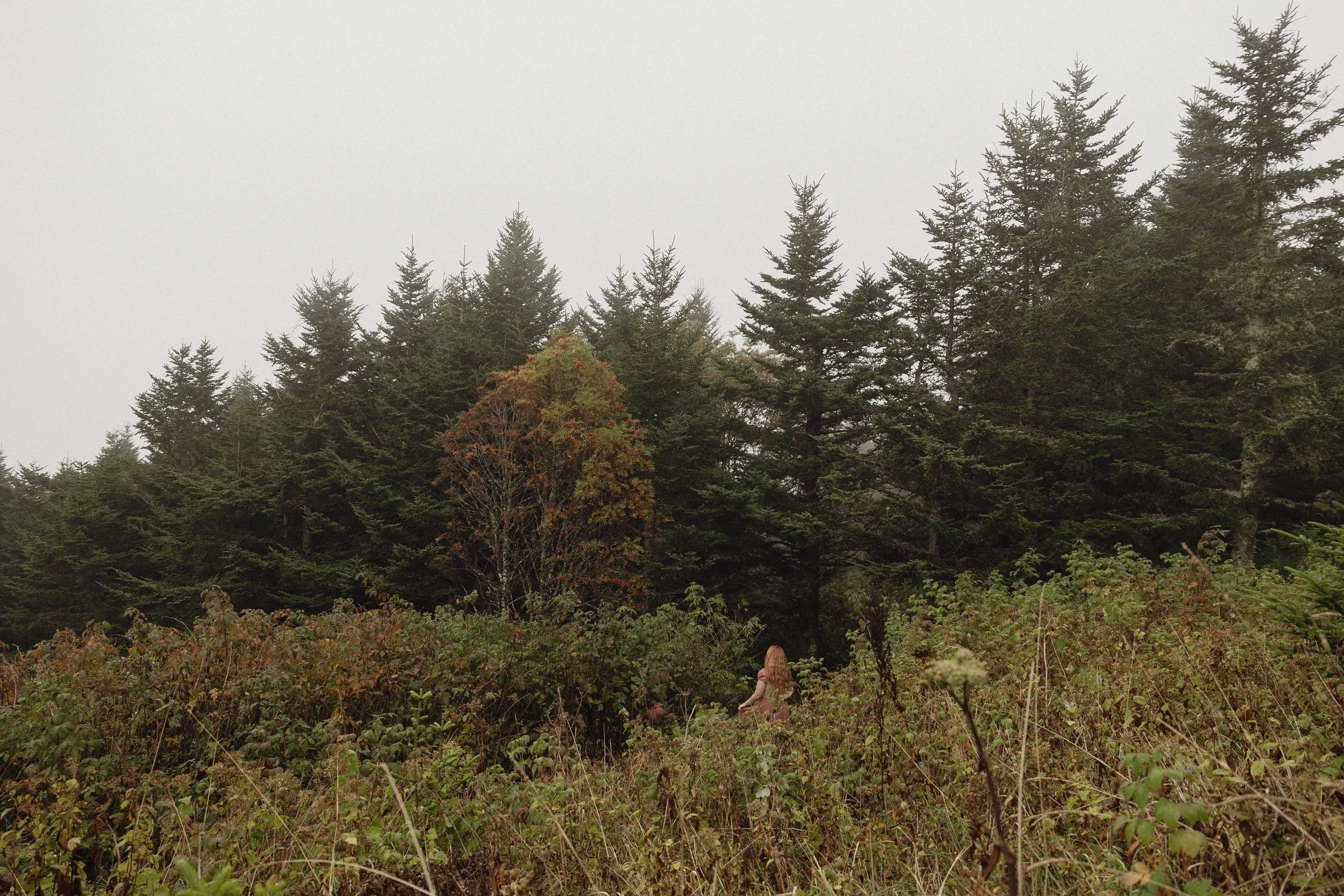 A woman with long hair standing in a field of tall grass and shrubs, surrounded by dense evergreen trees and foggy sky.