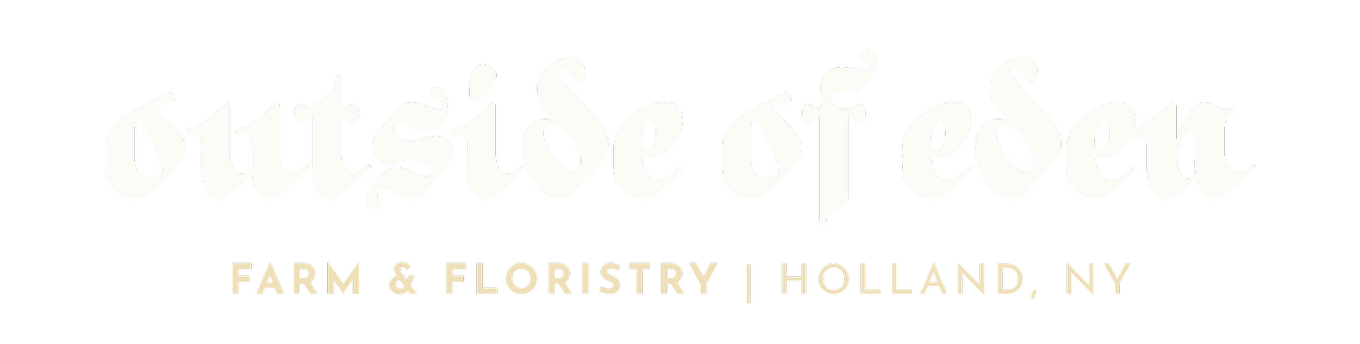 OUTSIDE OF EDEN