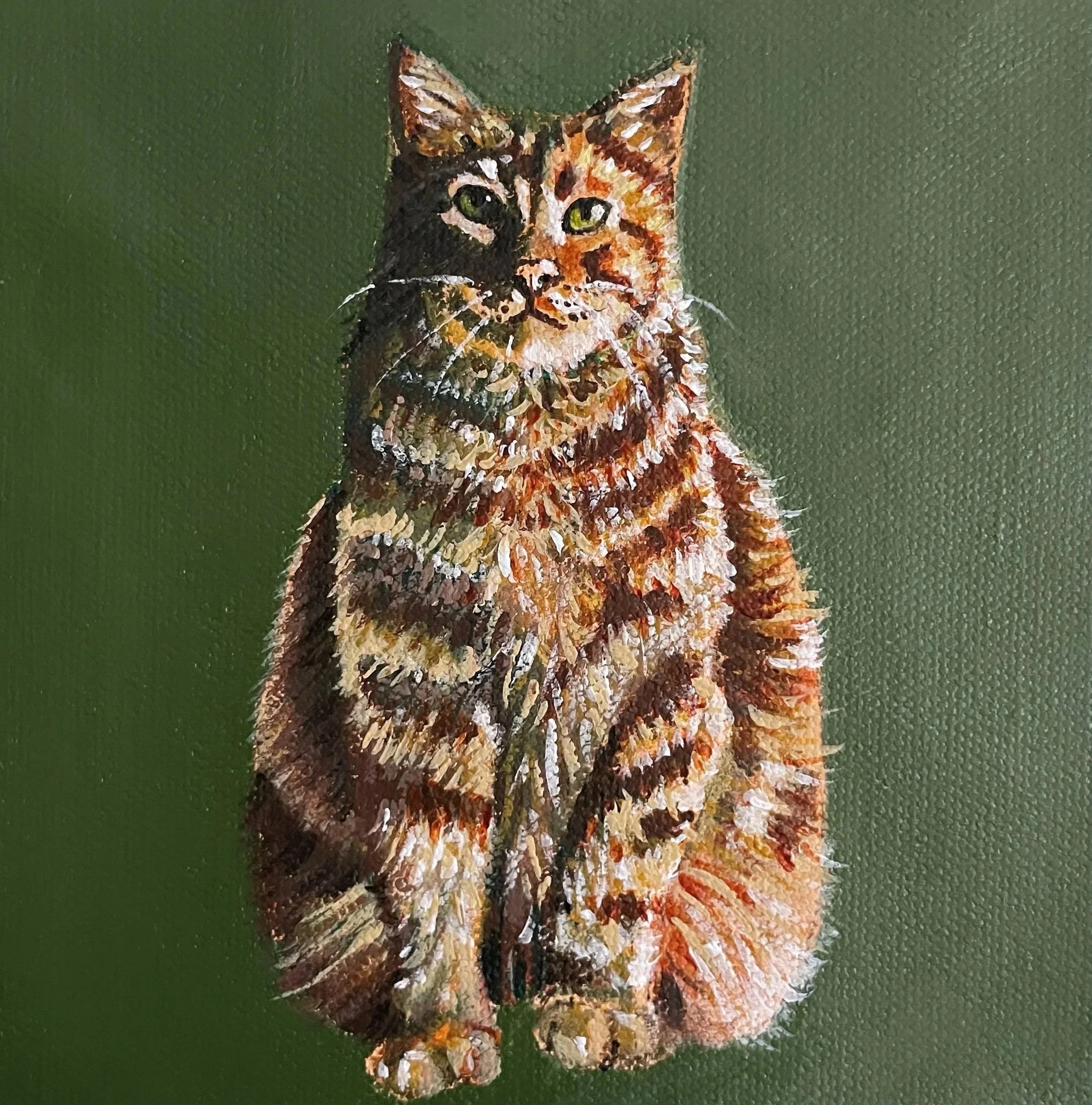 Pet Portraits