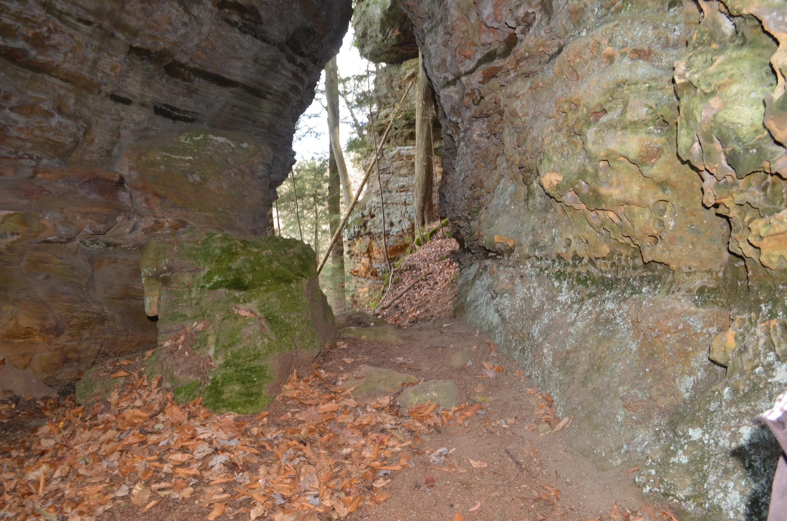 Red Trail