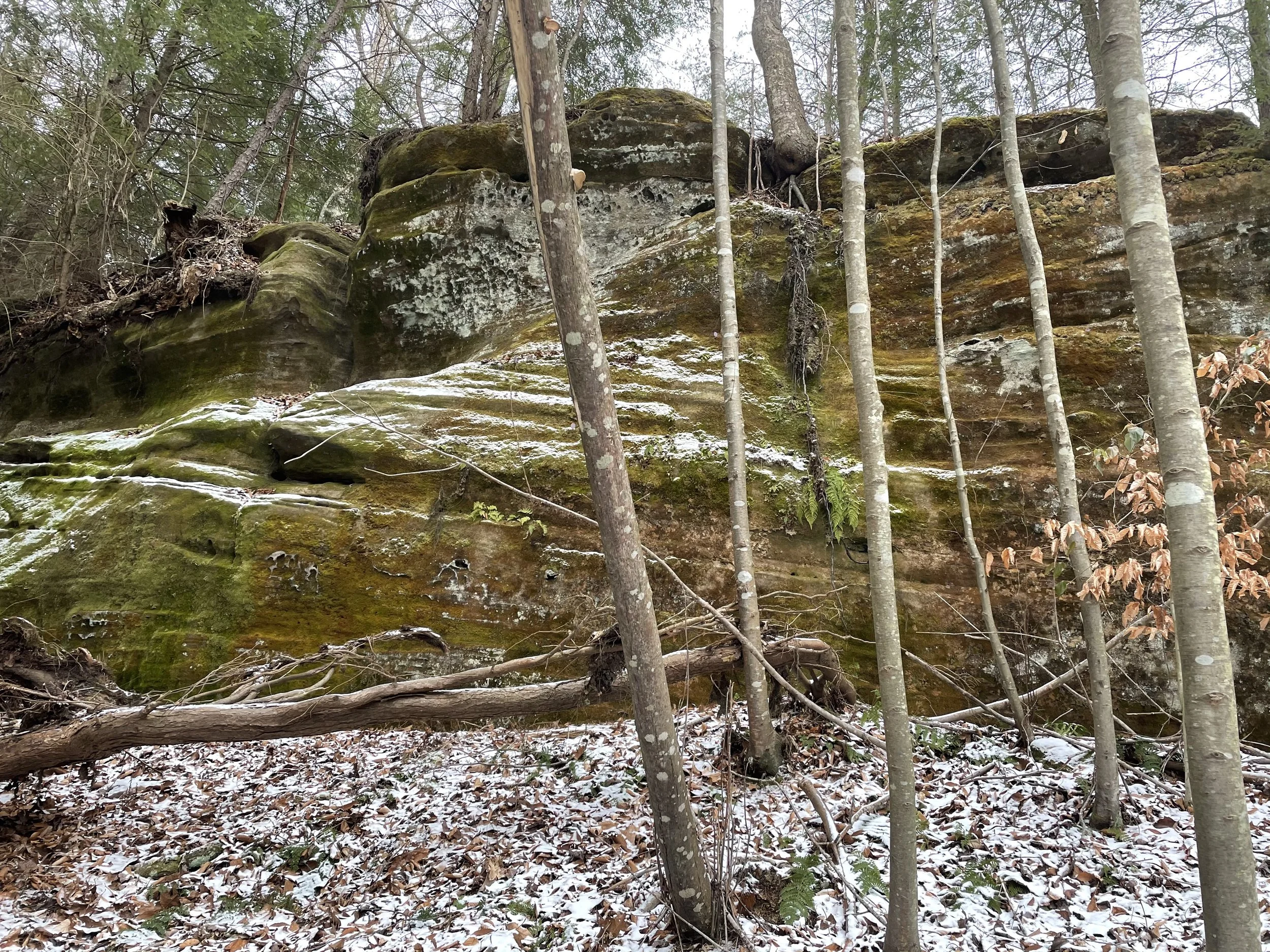 Red Trail