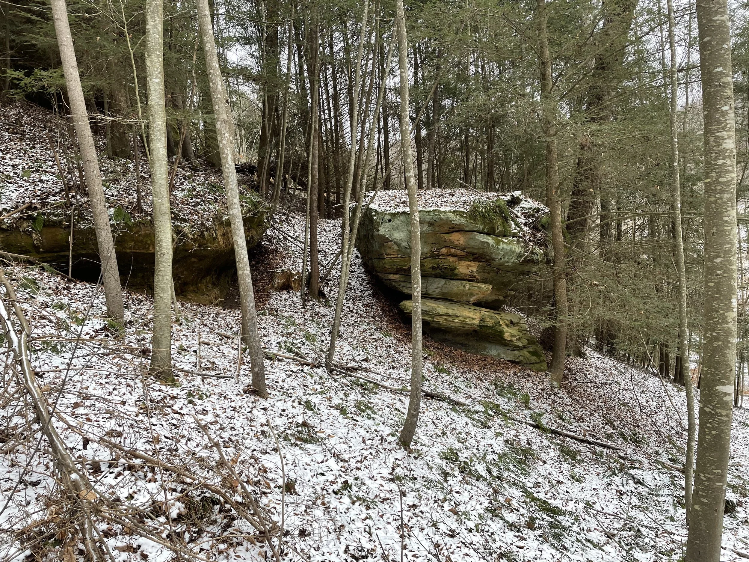 Pink Trail