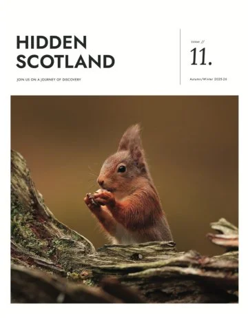 Top 10 best wild saunas