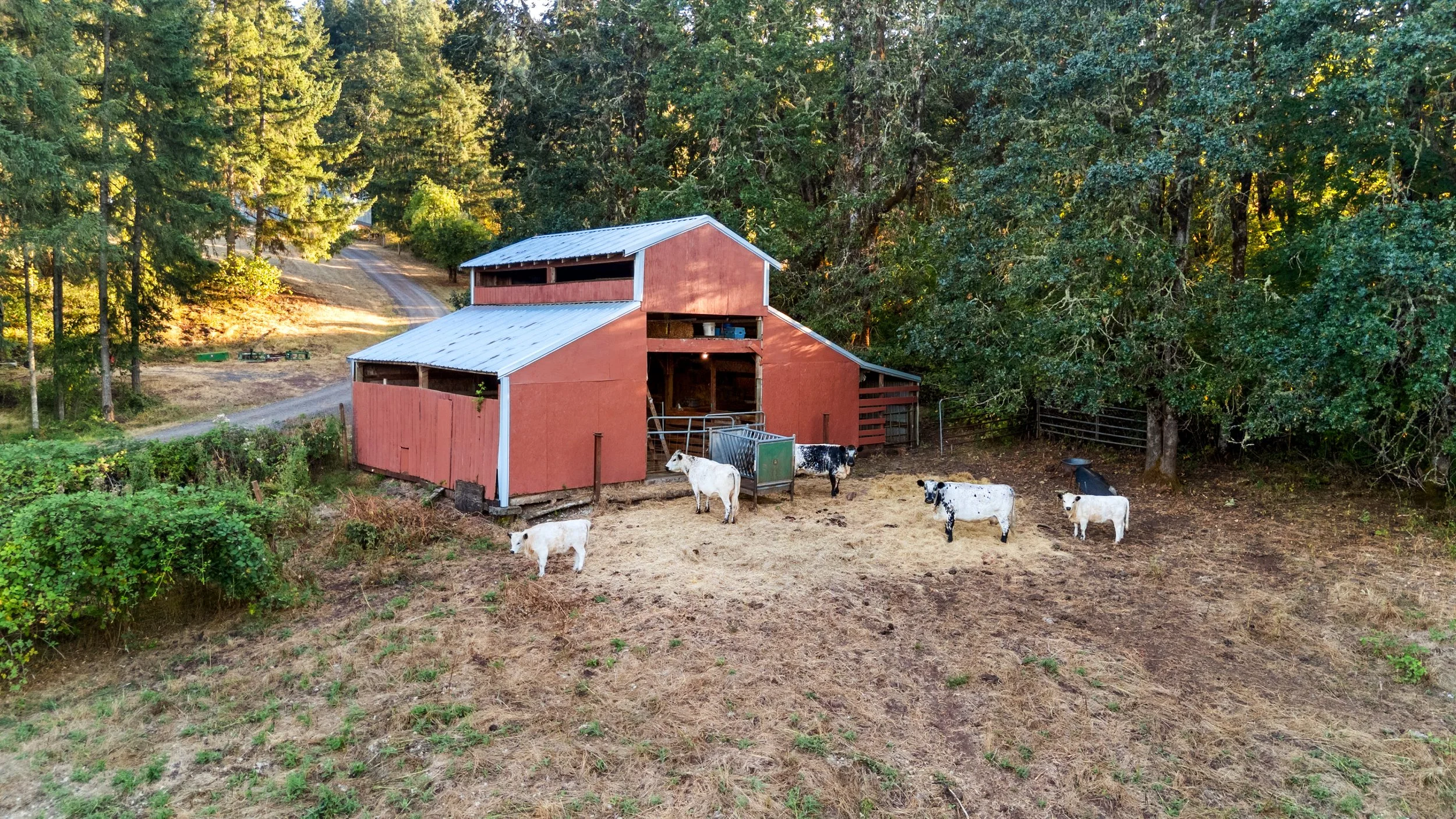 DJI_20250828183428_0075_D.jpg