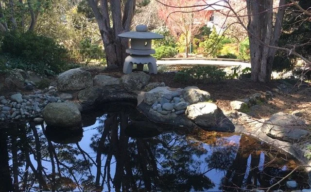 Learn to Meditate Workshop