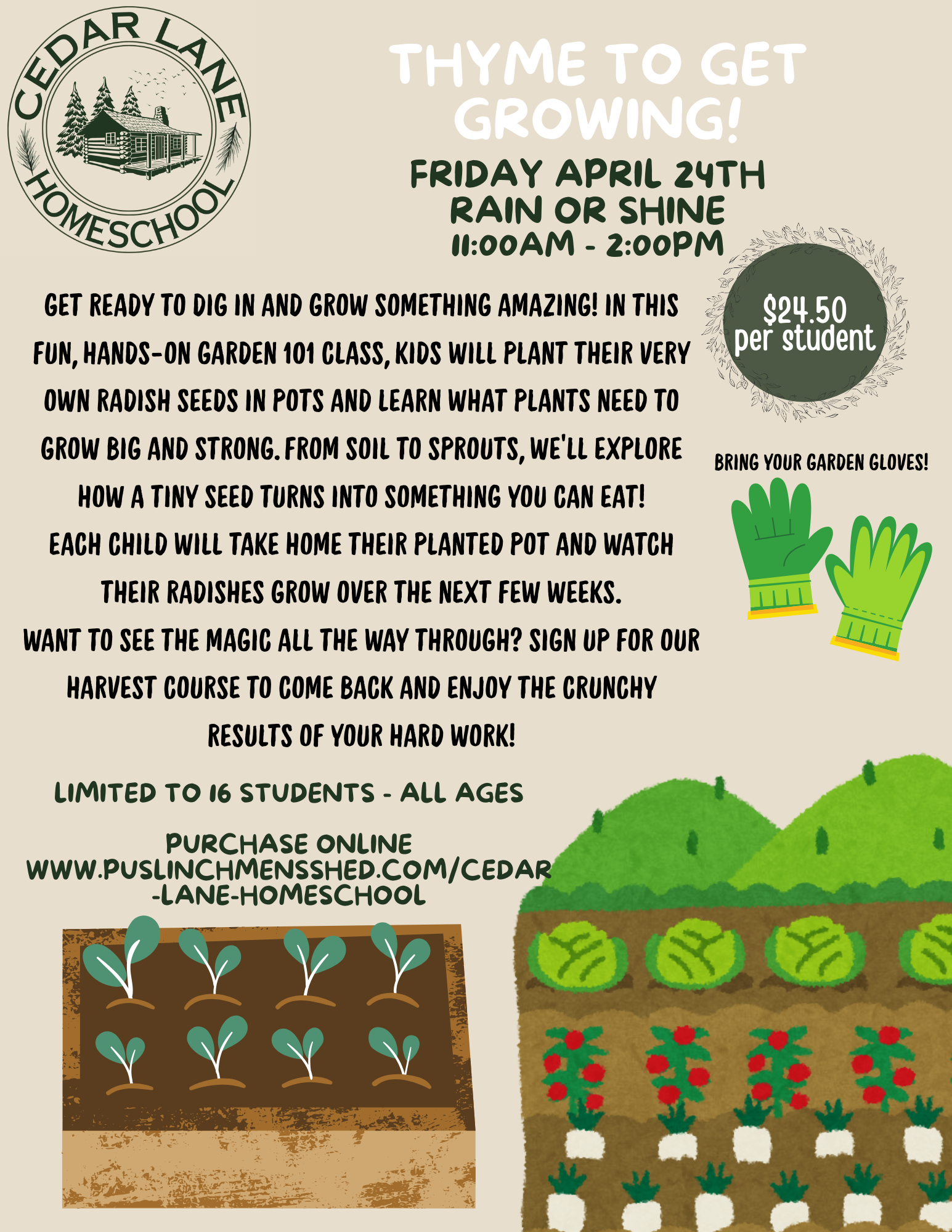 Thyme to Get Growing !