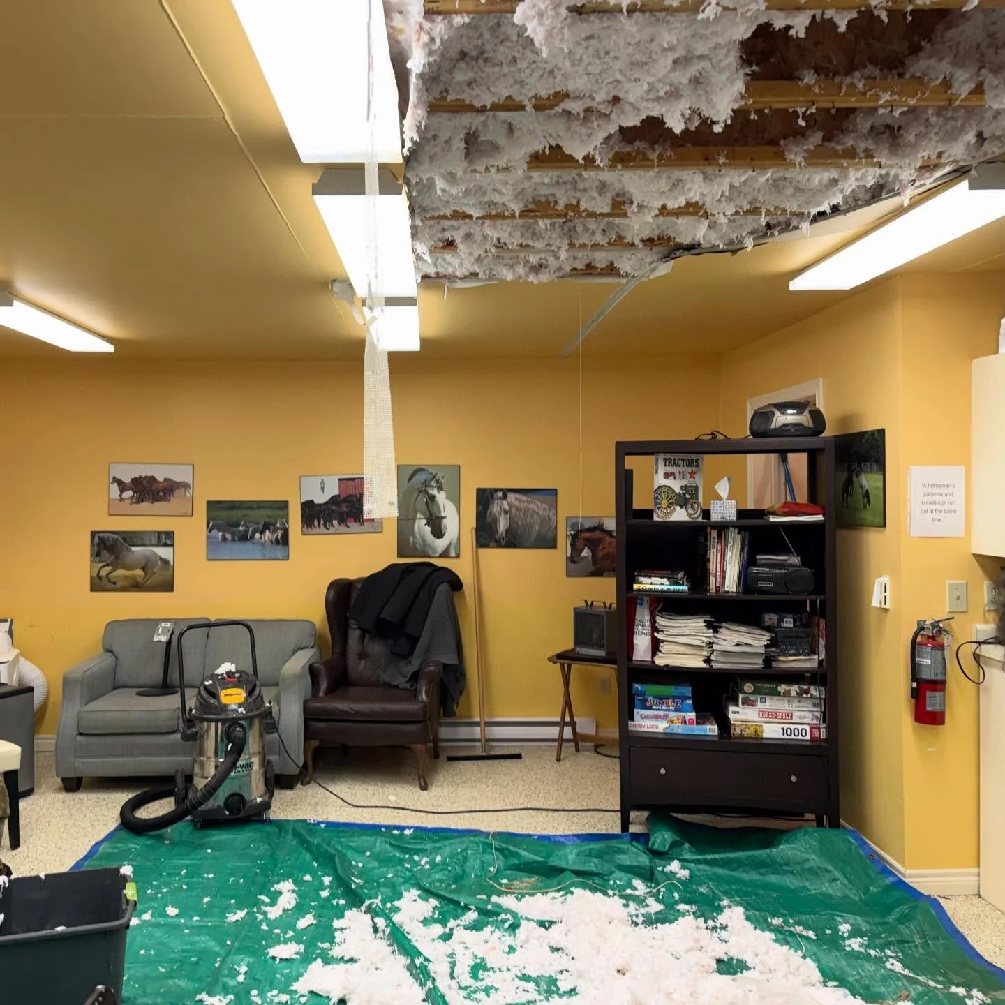 Well&hellip; that&rsquo;s not how we planned the week 😅💧
A pipe burst at Puslinch Men Shed HQ, aka Cedarlane Farms, so some classroom events will be popping up in different spots around the farmstead for now. The men are hard at work to restore thi