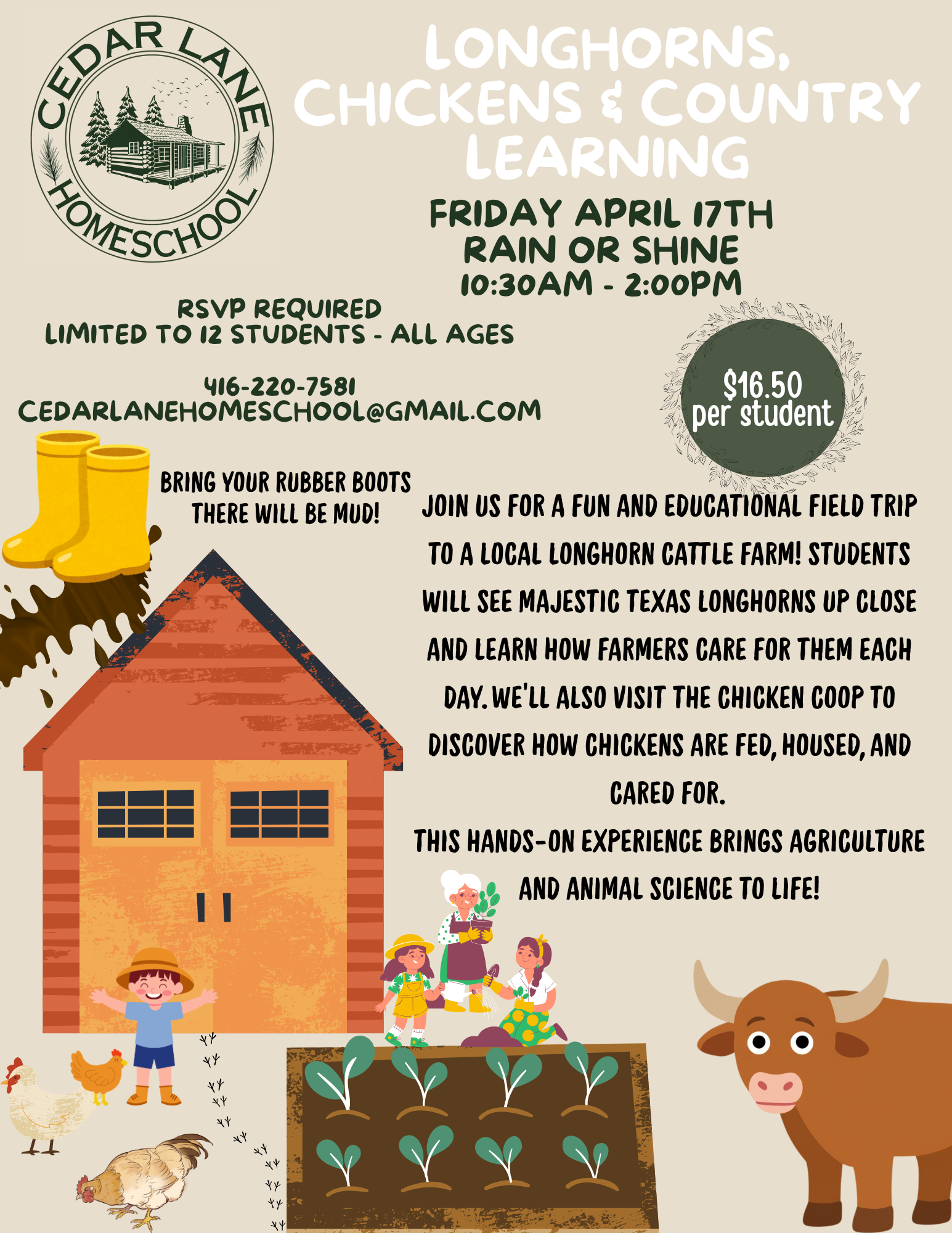 Longhorns, Chickens & Country Learning