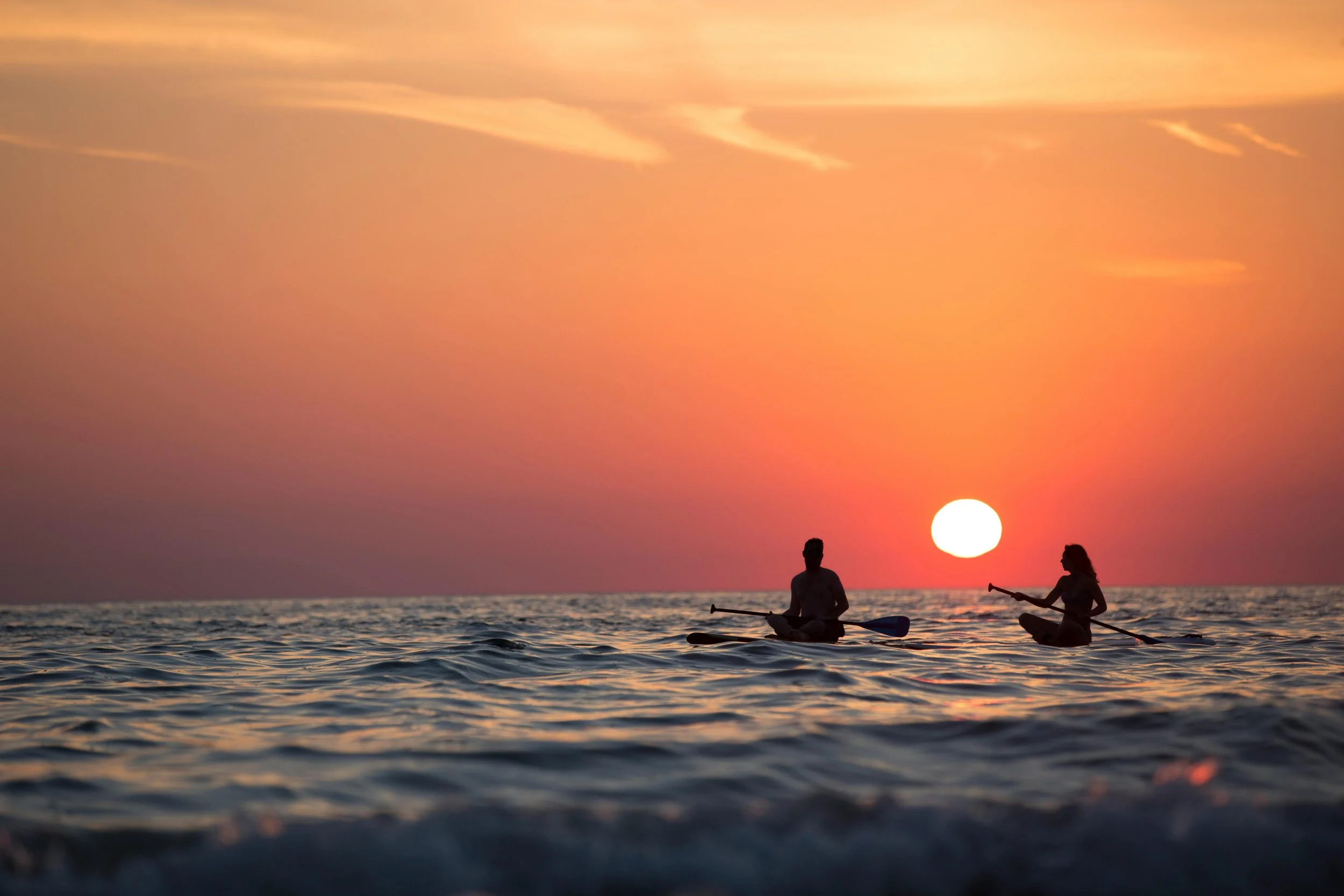 stand up paddle boarders at sunset