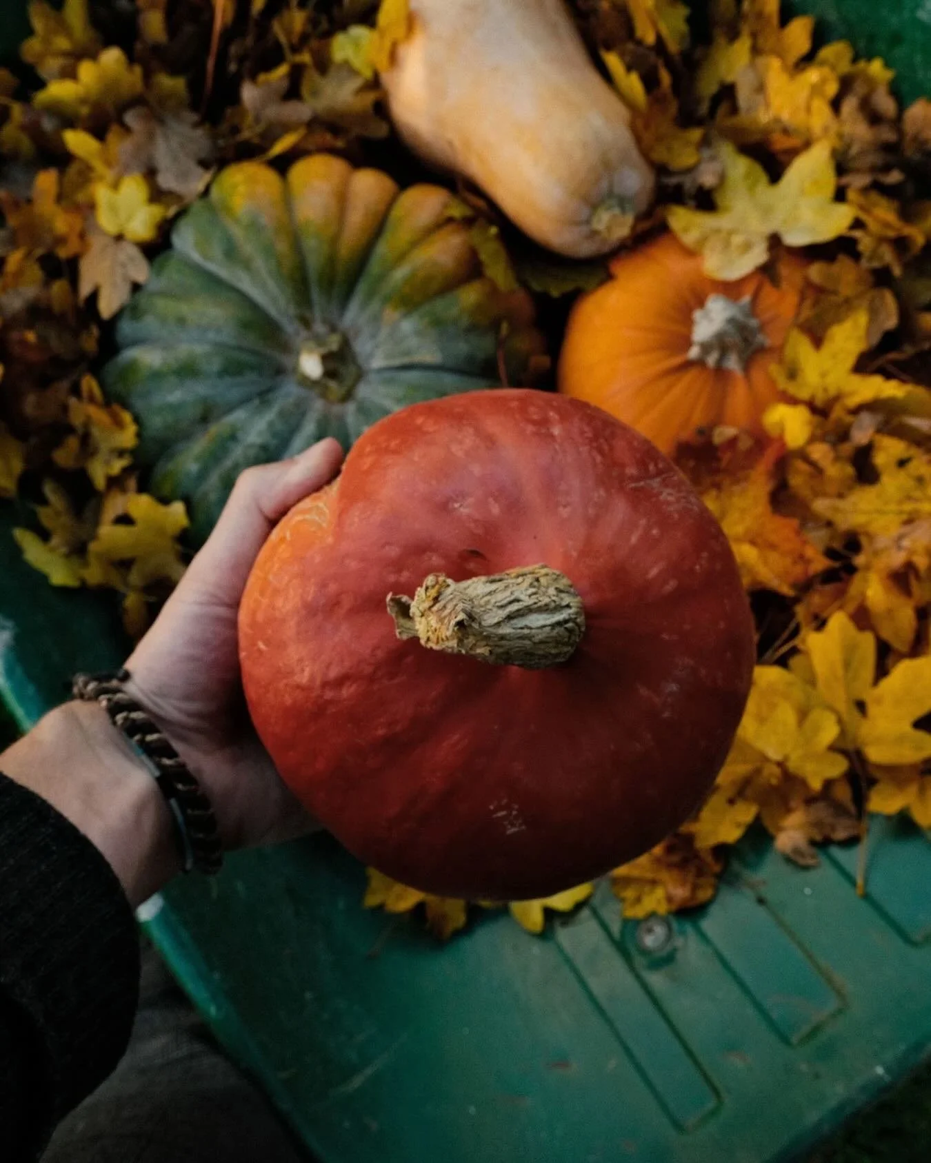 Every journey leaves us with something to be thankful for — a memory, a view, a feeling that stays long after we unpack. 🧡
This Thanksgiving, we’re grateful for the stories travel gives us to tell & the people we get to share them wi