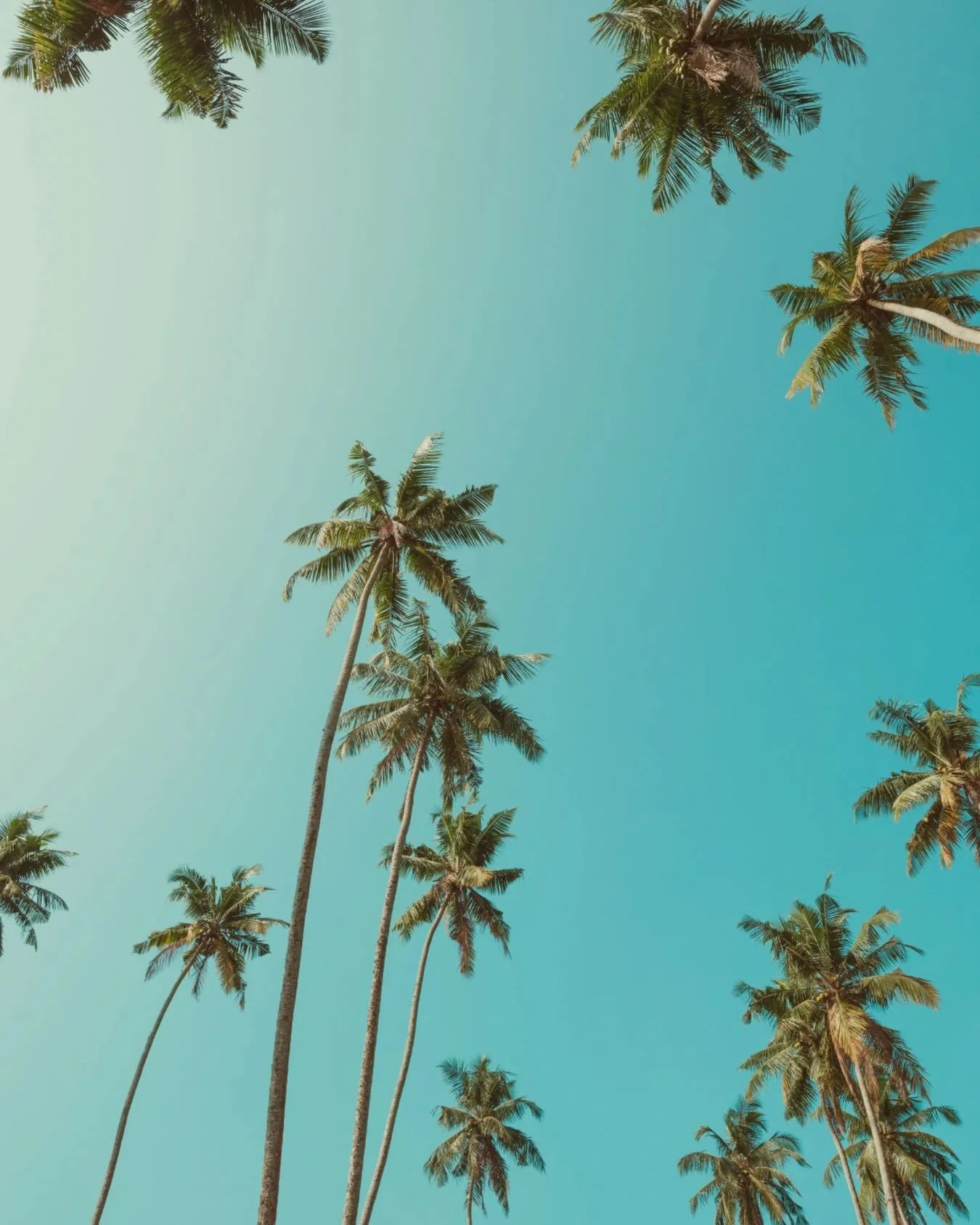 ✨ Big news from Four Stories Travel! ✨

I&rsquo;m thrilled to share a major milestone in our journey today. Four Stories Travel has officially transitioned from operating under The Travel Agent Next Door to becoming a fully independent travel agency!