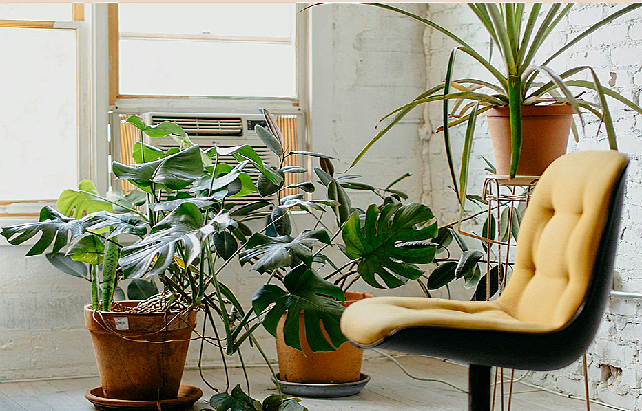 Book your online counseling appointment in Pennsylvania.