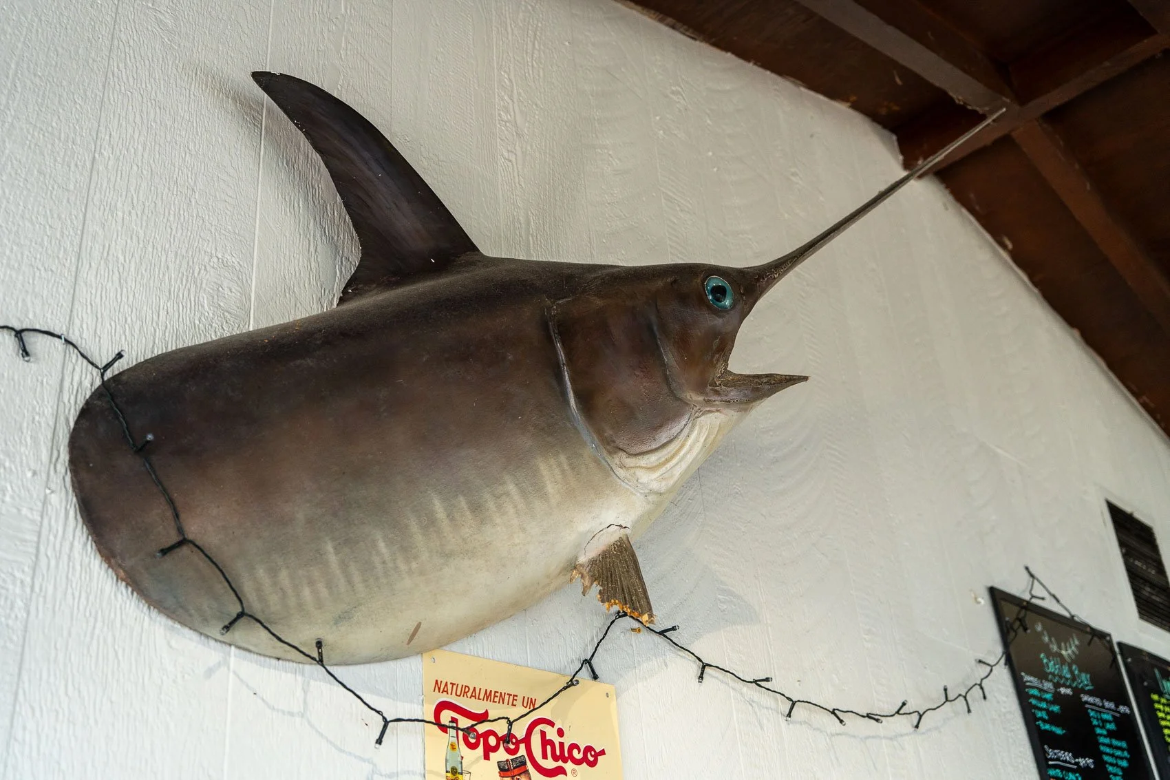 Thomas Murphy Stock-1.jpg