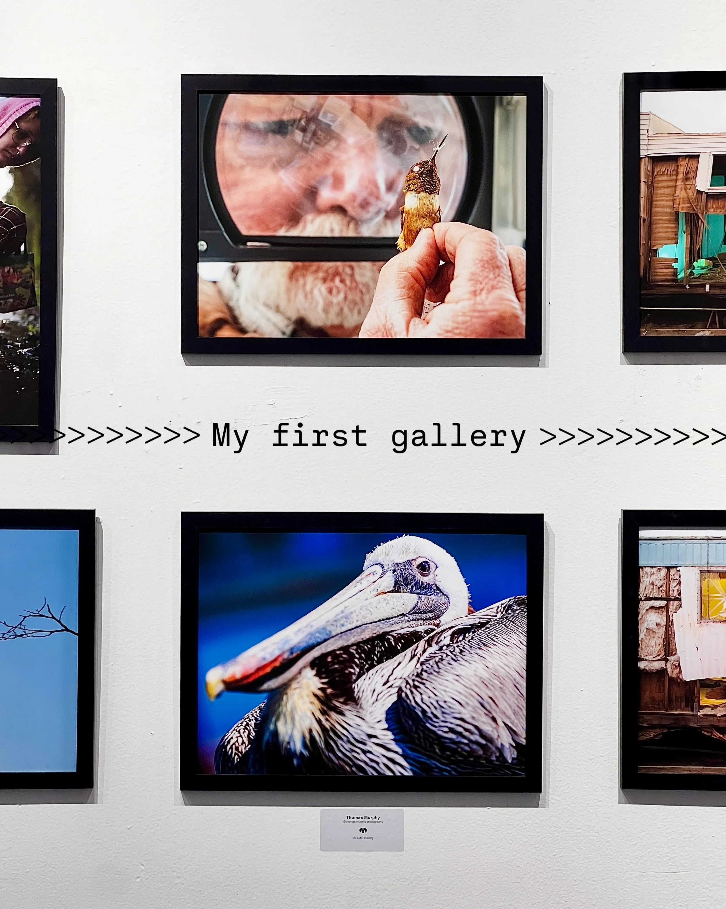 Thanks to @connectsandiego @monadnyc and @dokyii for this awesome opportunity &mdash; surely the first of many!

The work of so many great local photographers was on display last night, I encourage you to check them out!

@alexanderthefriendly 🐐
@ko