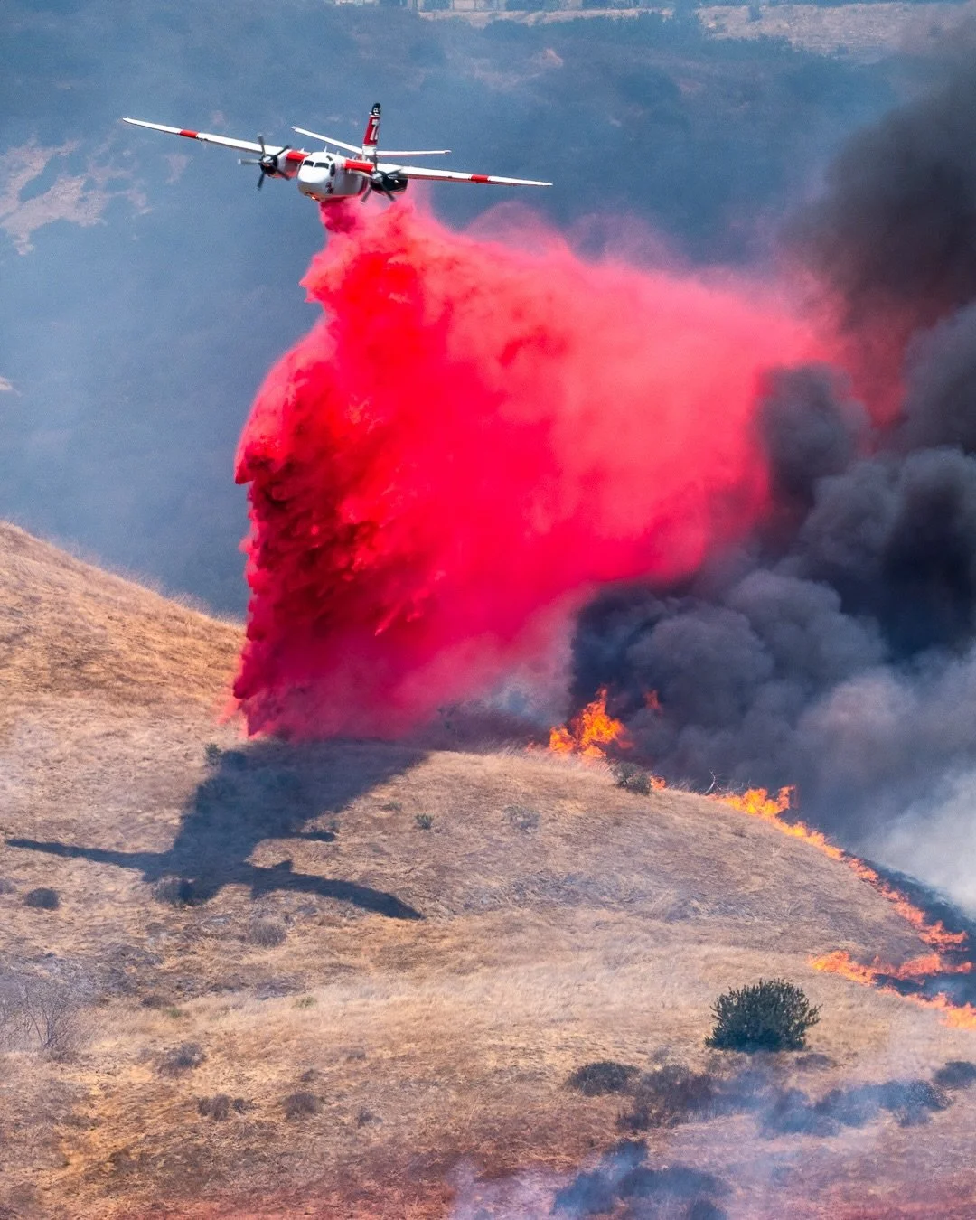 The Sorrento Valley Fire began earlier this morning, I arrived on scene at 10:30 a.m.

These photographs were taken on the southern ridge of Sorrento Valley, overlooking the road below. Offshore winds pushed the fire east, where planes and helicopter