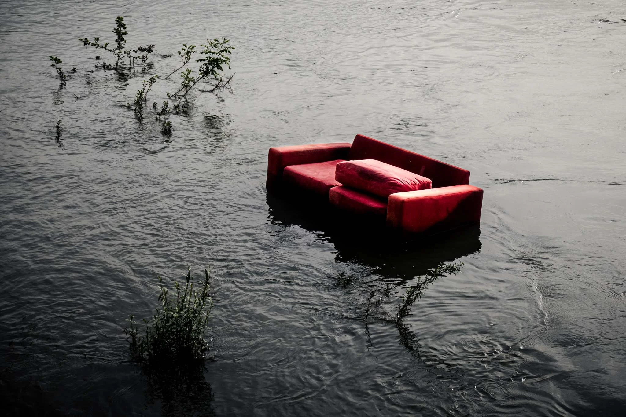 cc Thomas Murphy Photography-WEB-17.jpg