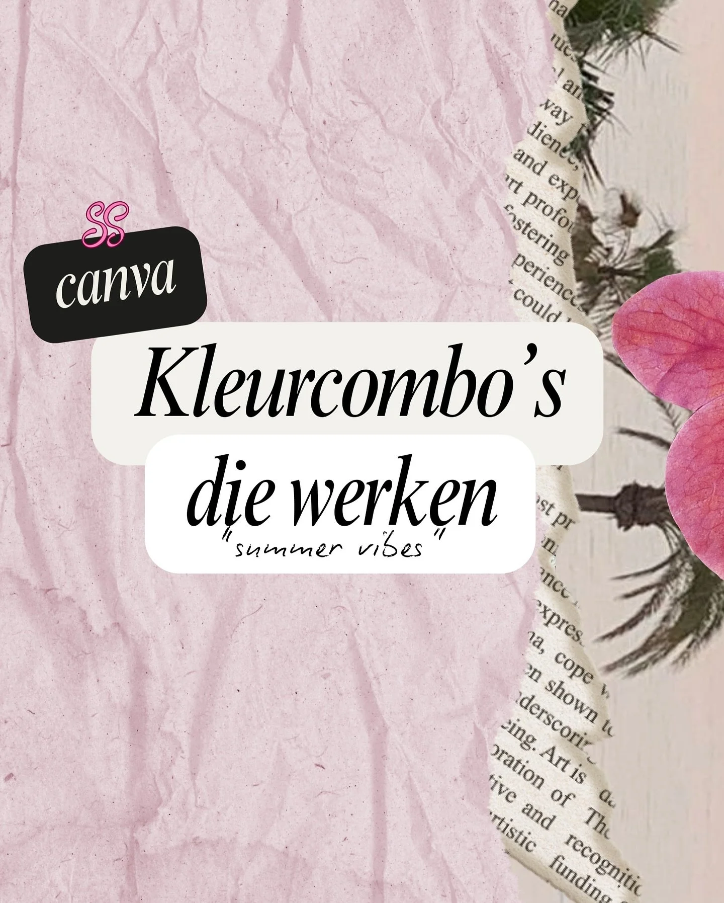 Kleurcombo&rsquo;s die werken: Gebruik deze kleurcombi&rsquo;s voor je volgende project ✨

We genieten nog even van het mooie weer, dus waarom niet die summer vibes vasthouden in je designs? Als webdesigner haal ik kleurinspiratie echt overal vandaan