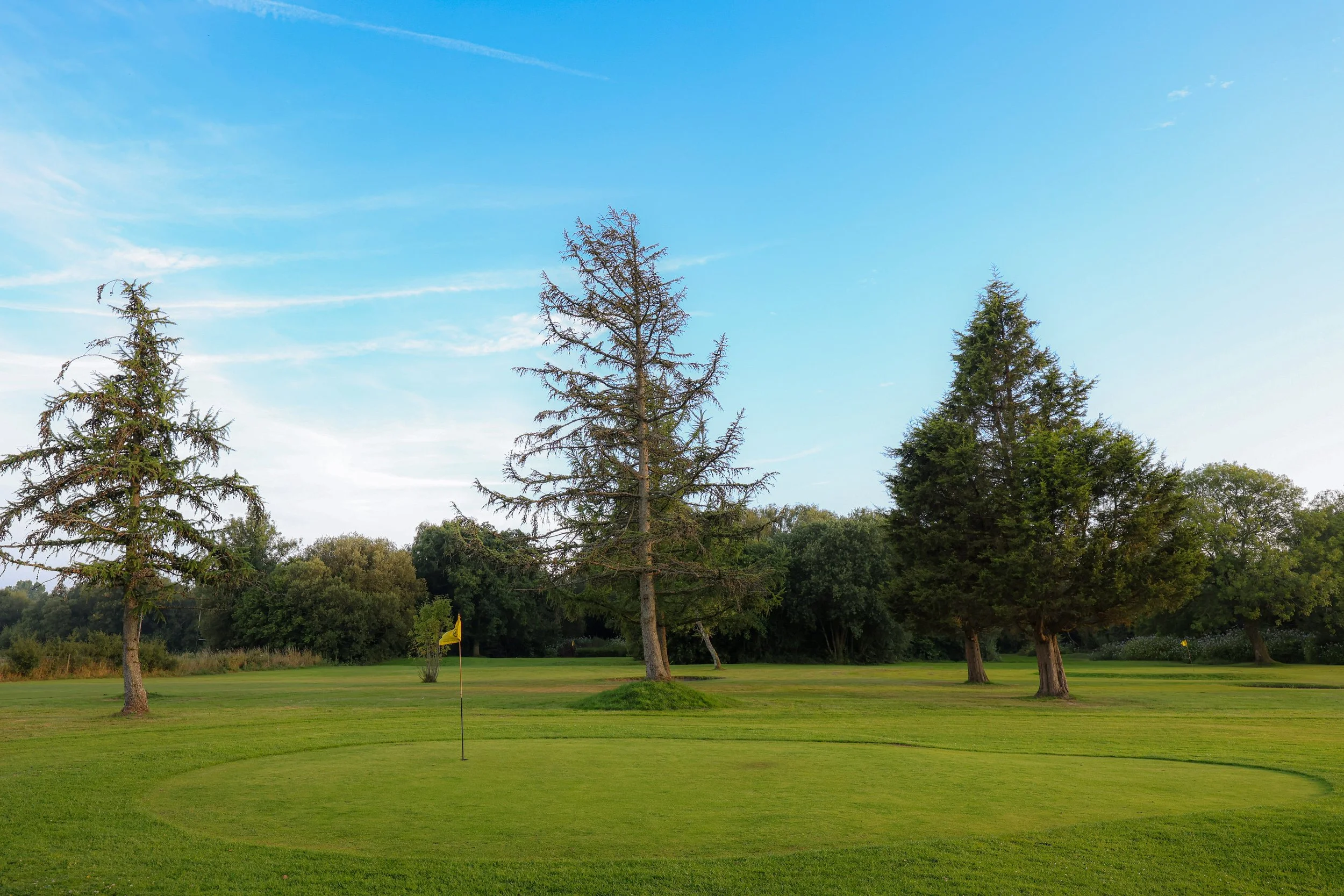 Gowerton Golf Range Par 3 Course with three large fir trees in the background.