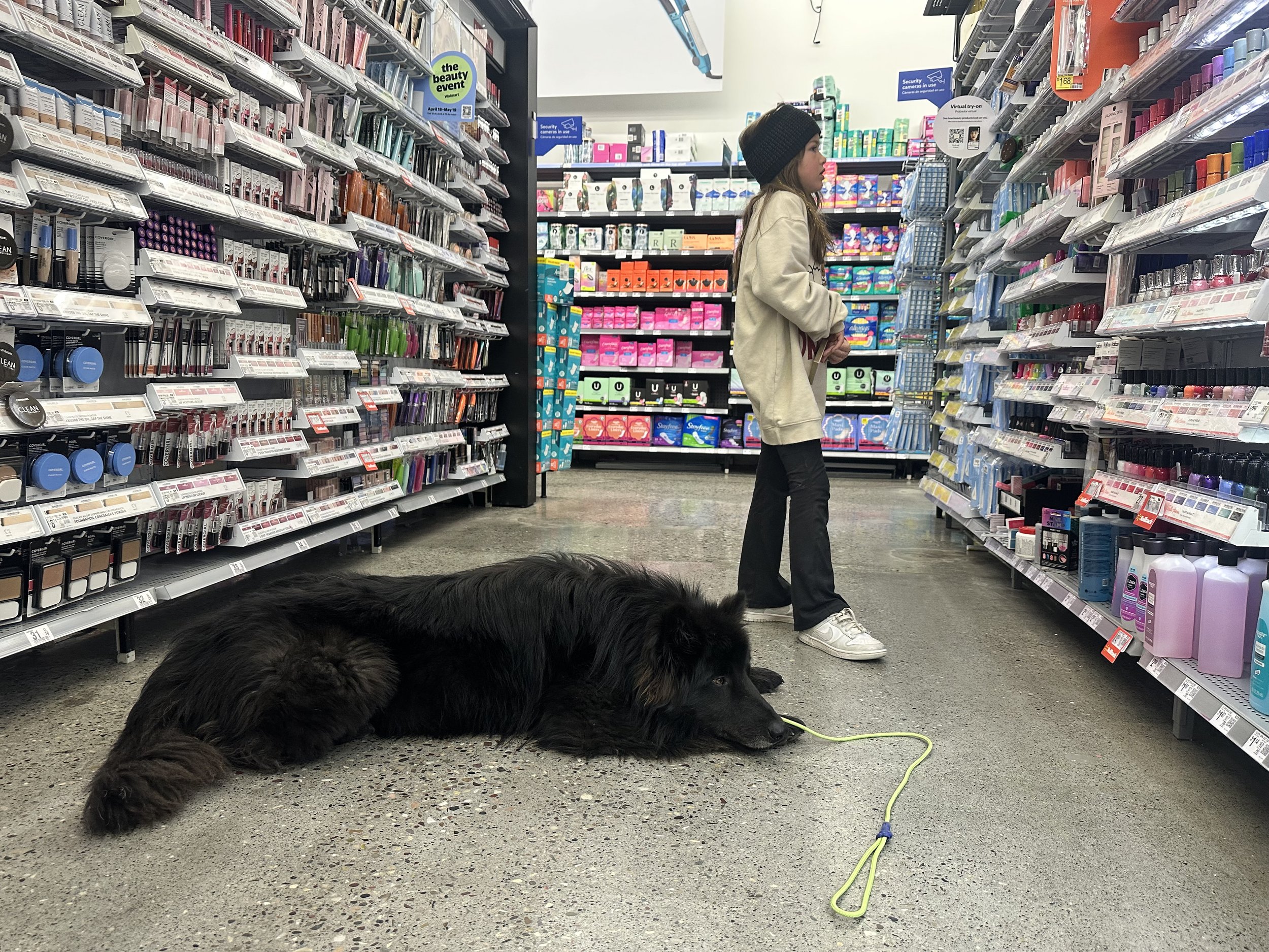 Intermediate & Public Access | February 2nd, 2026