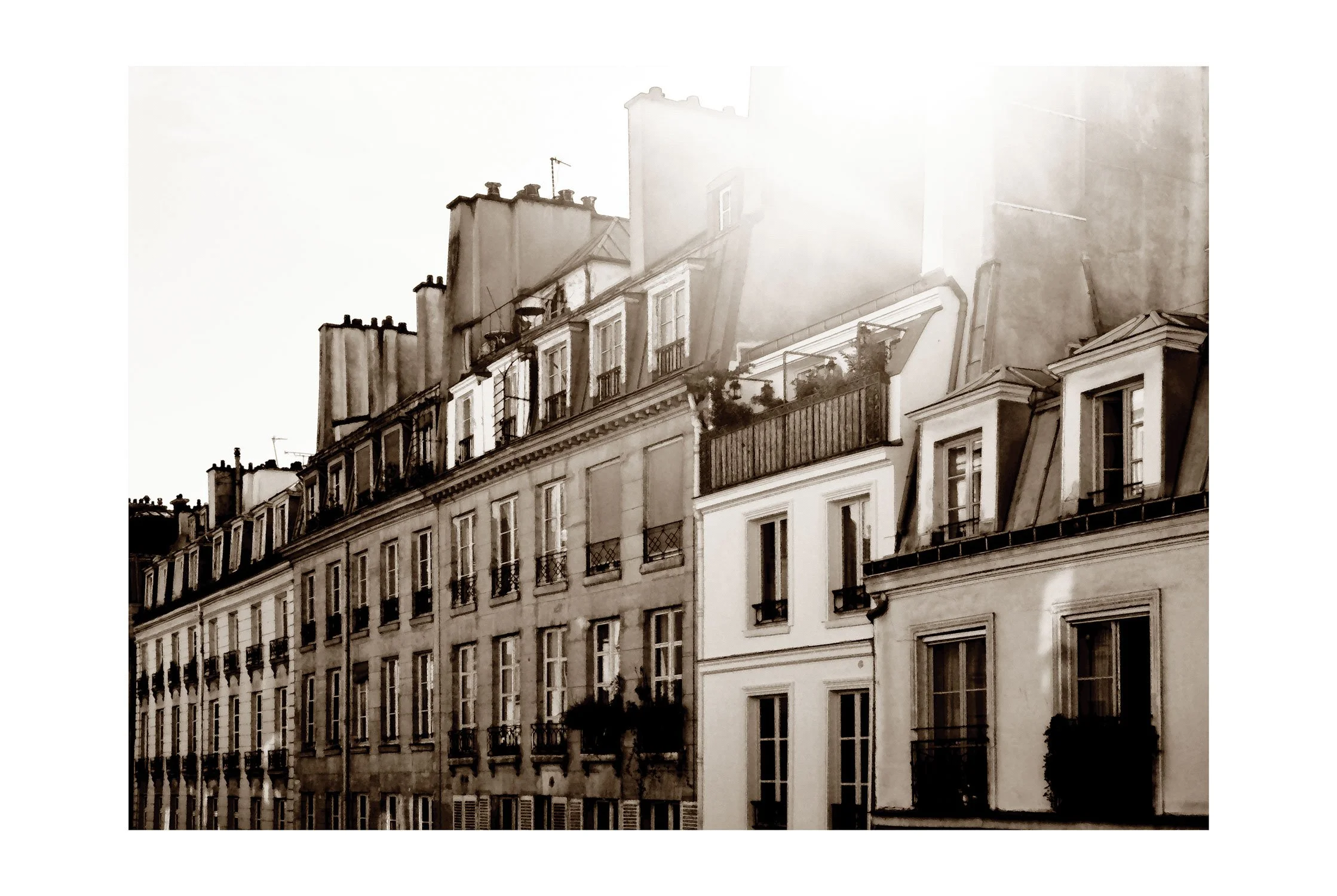 Paris Rooftops - 09 by MaCeDias
