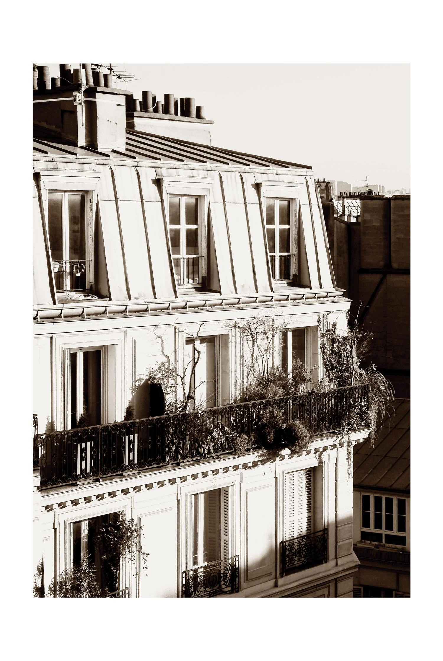 Paris Rooftops - 06 by MaCeDias