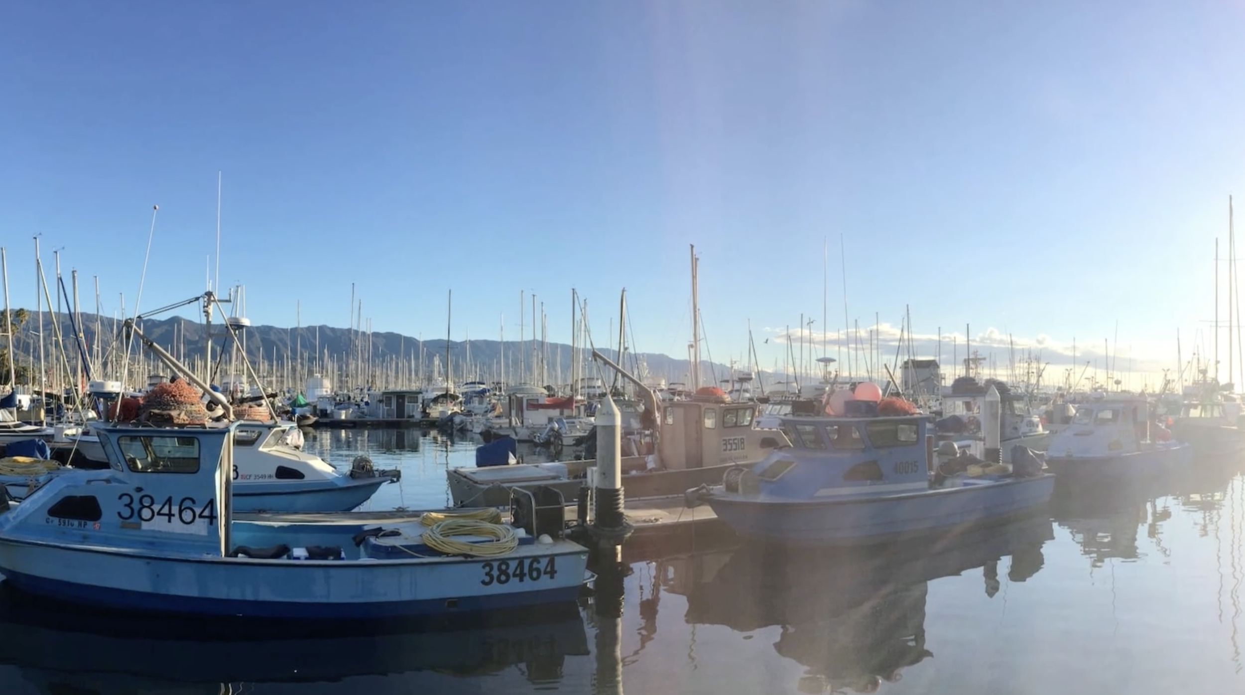 Screenshot 2026-03-15 at 11.18.07 AM.png