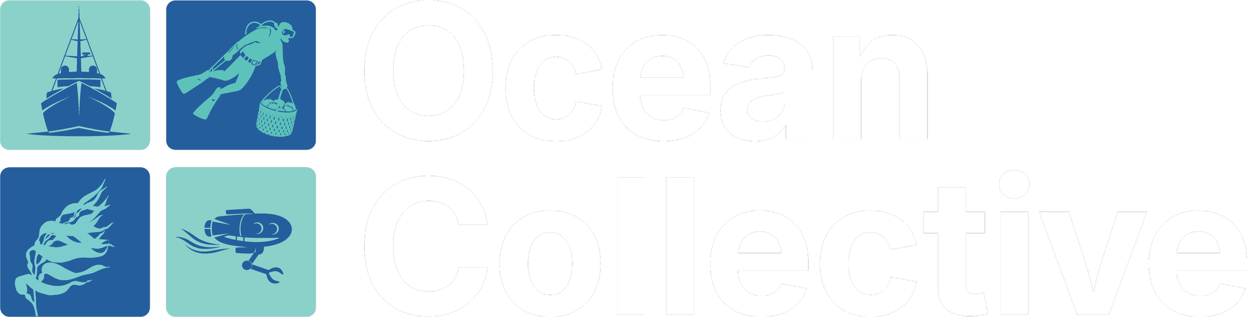 The Ocean Collective