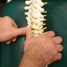 MANUAL THERAPY_01.jpg