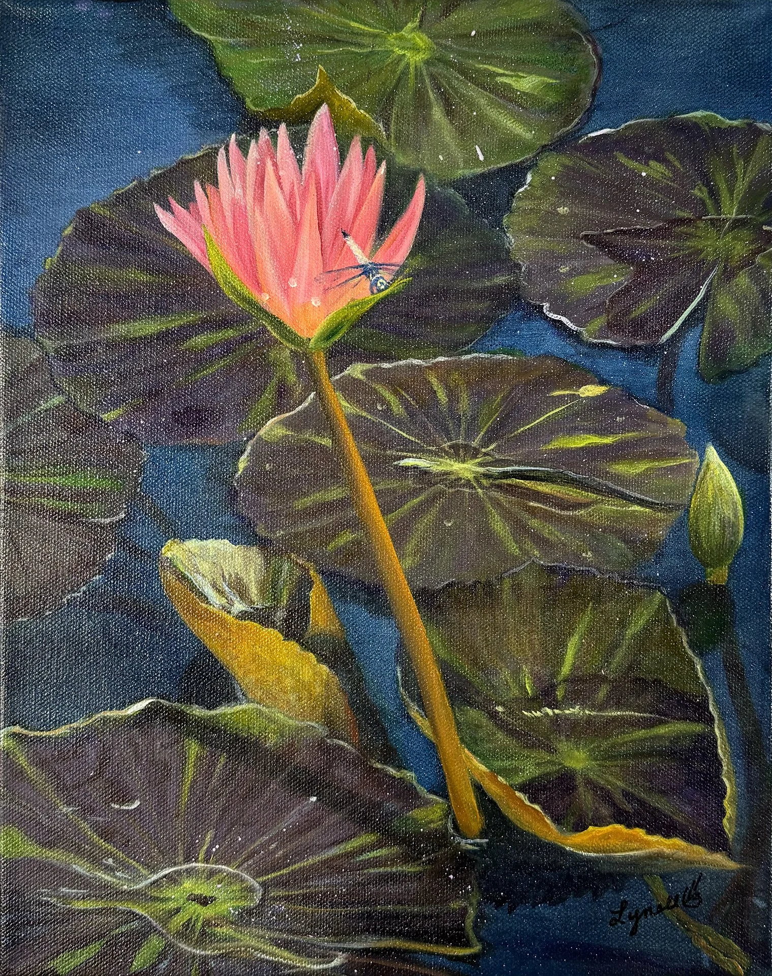 Water Lilly 3 - Wilgers-Bradshaw