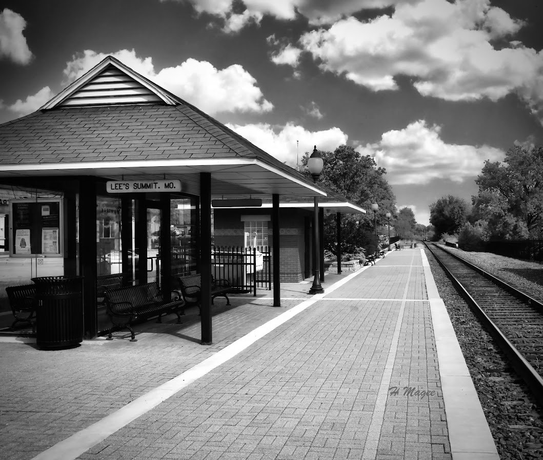 Magee - DSC03742.jpeg-1.jpg