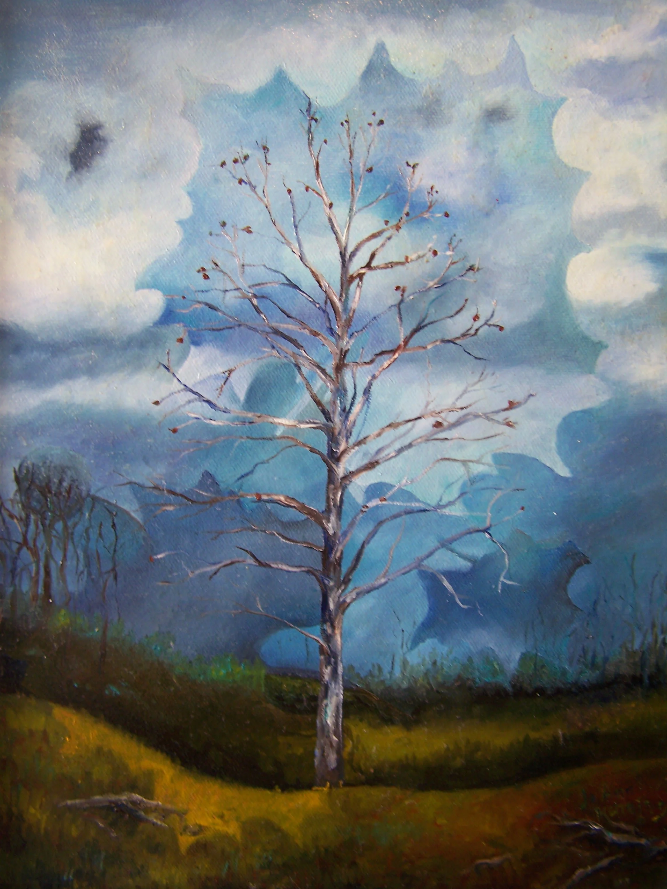 Sycamore by Osage River - Narron